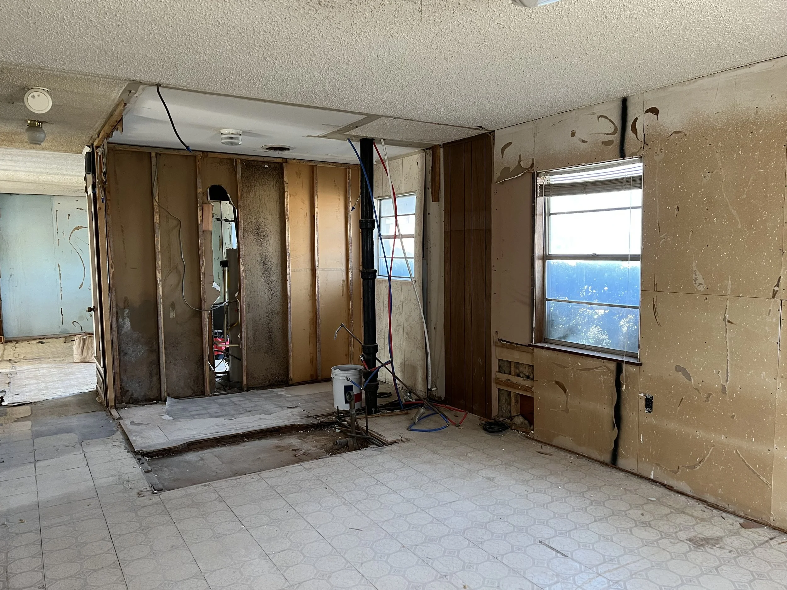 IMG_0079 Courtney Middlebrook.jpeg