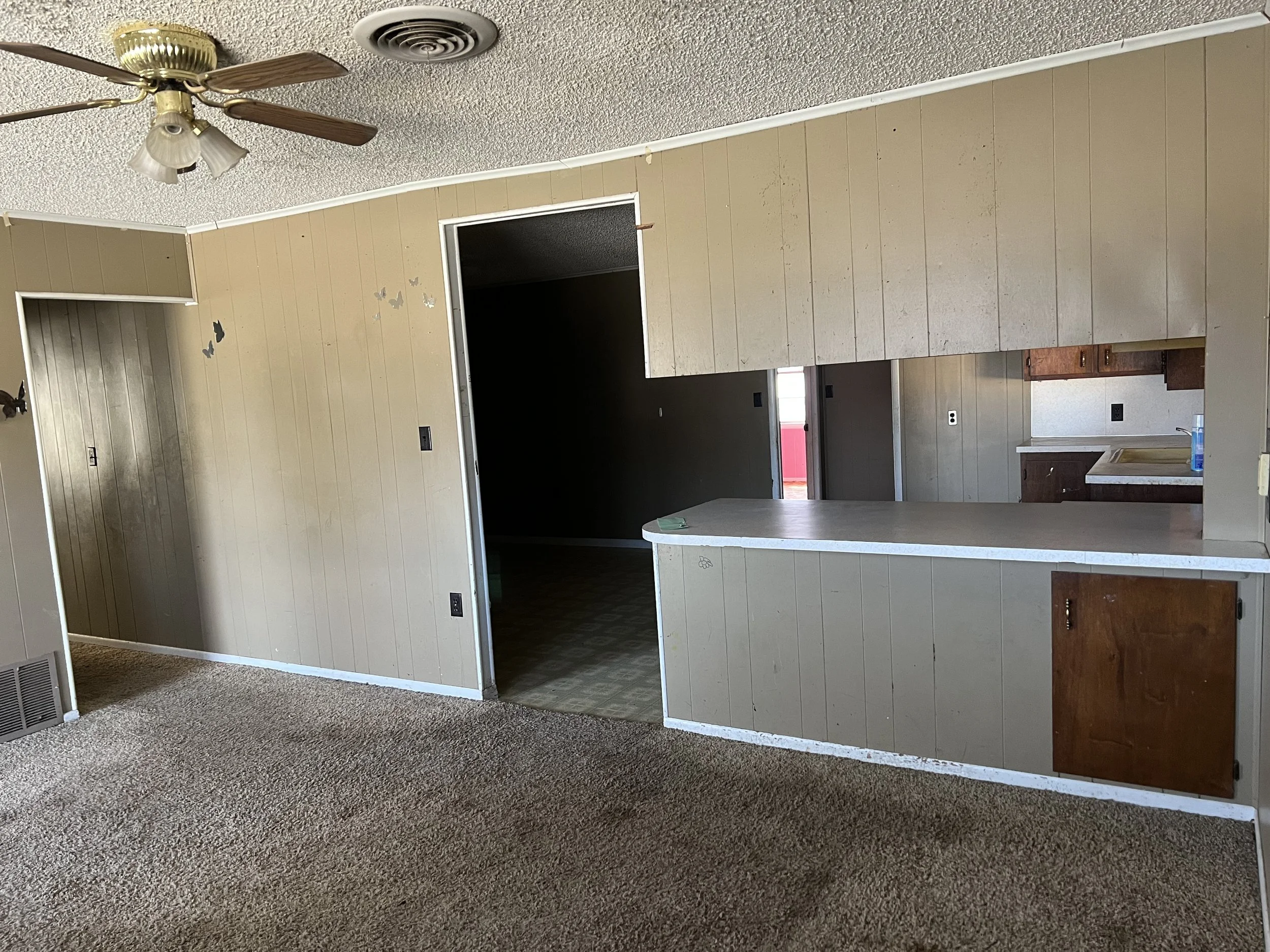 IMG_0006 Courtney.jpeg