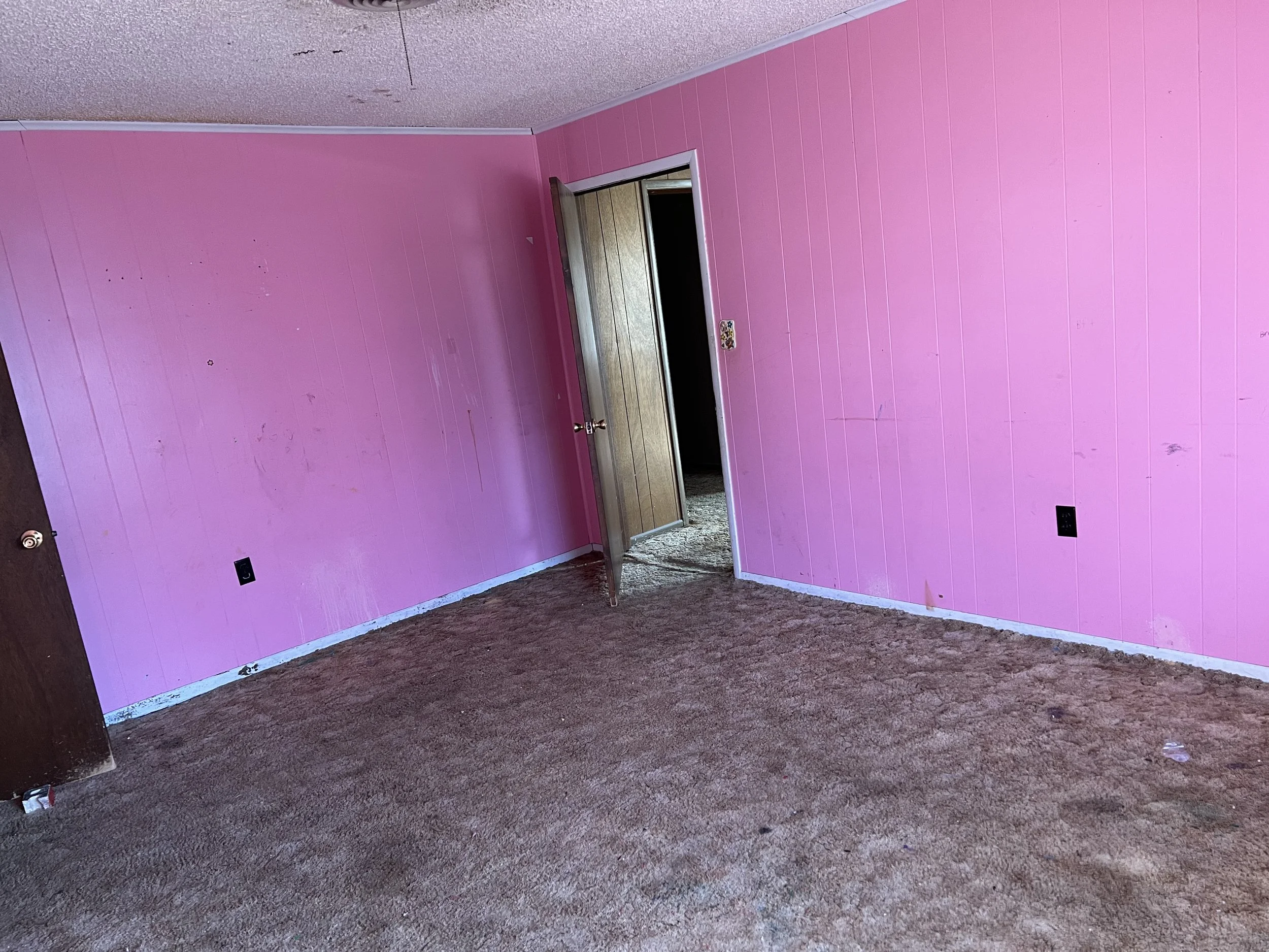 IMG_0017 Courtney.jpeg