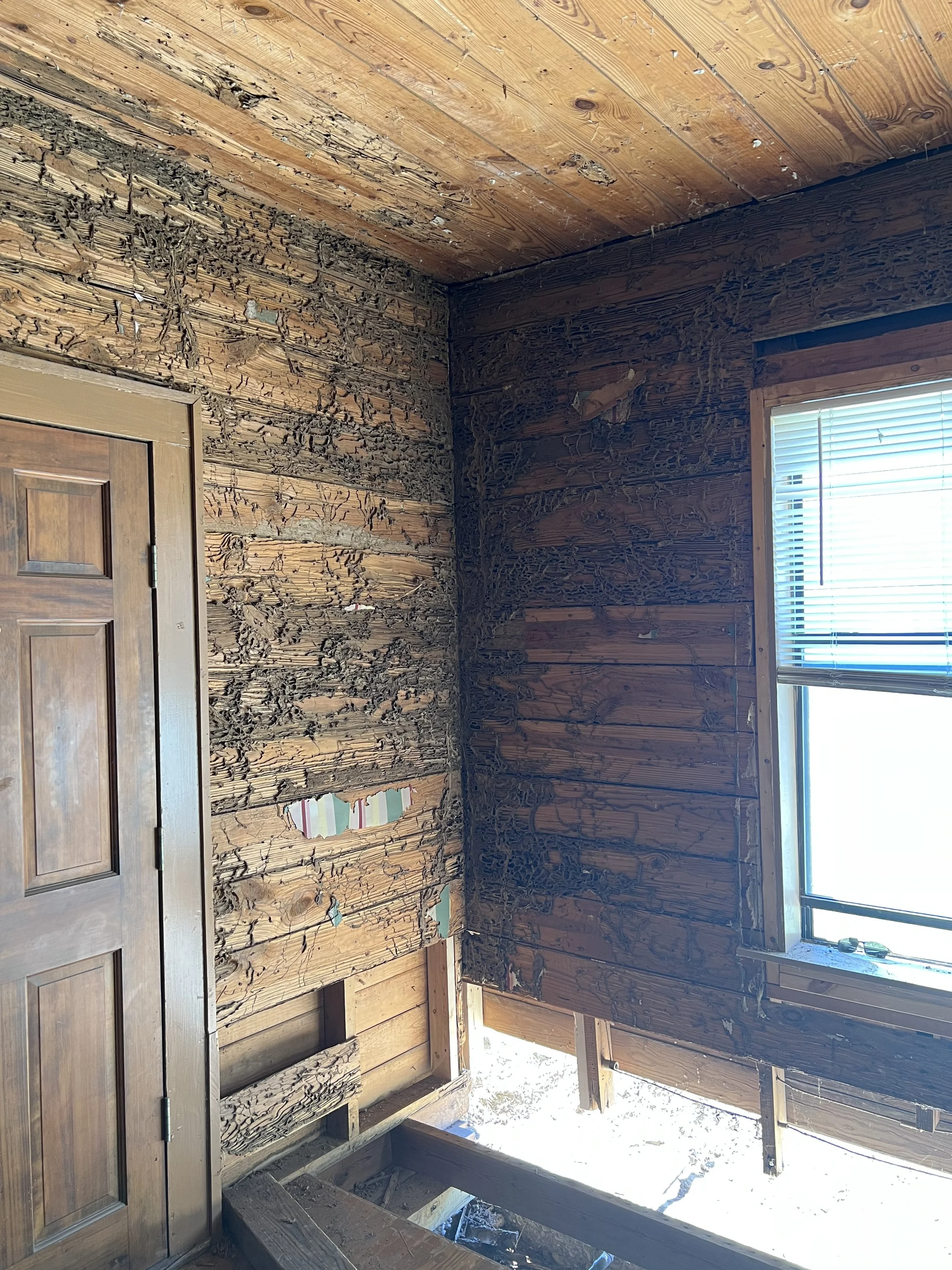 Photo Oct 16 2023, 1 18 51 PM.jpg