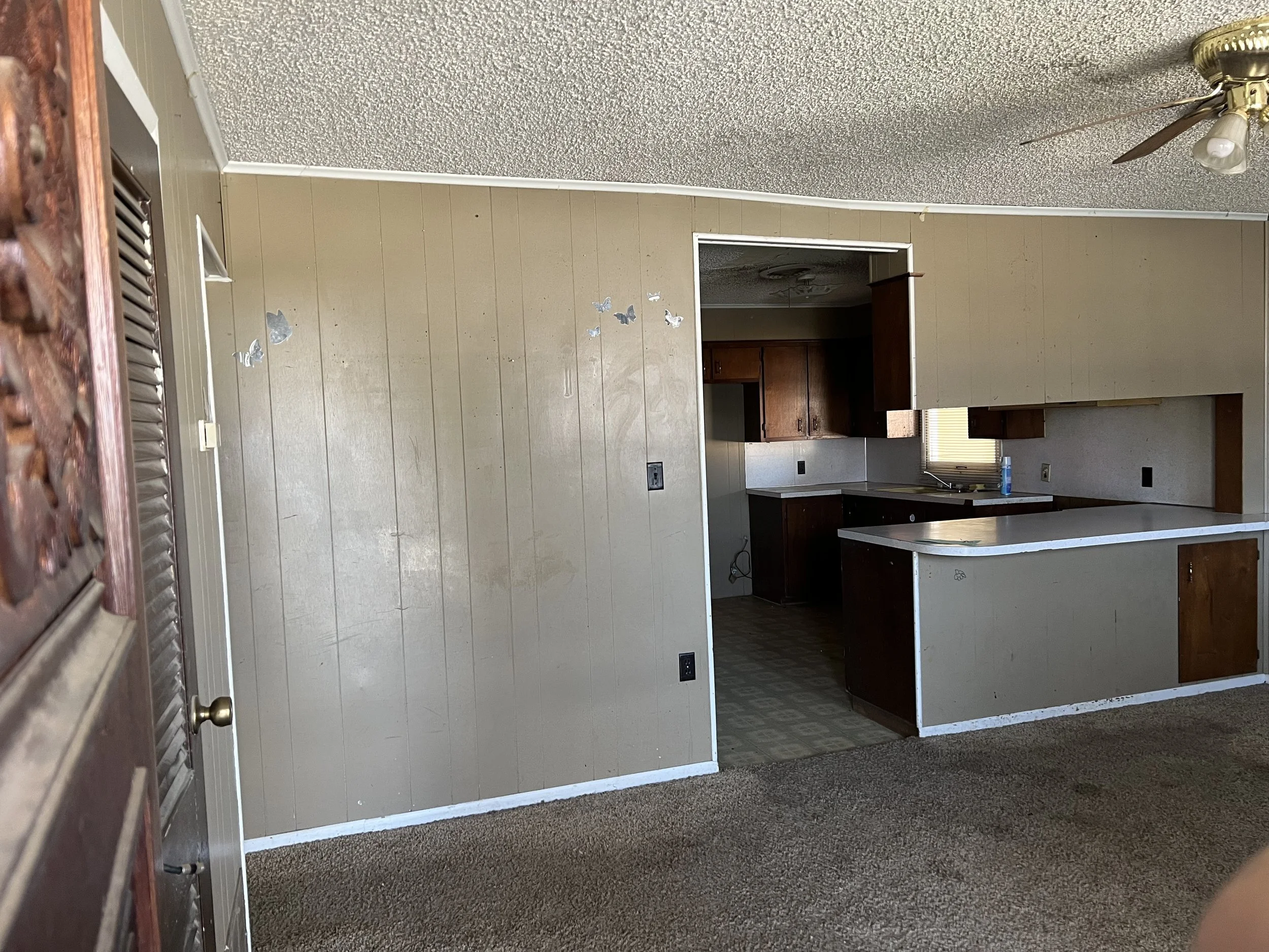 IMG_0007 Courtney.jpeg