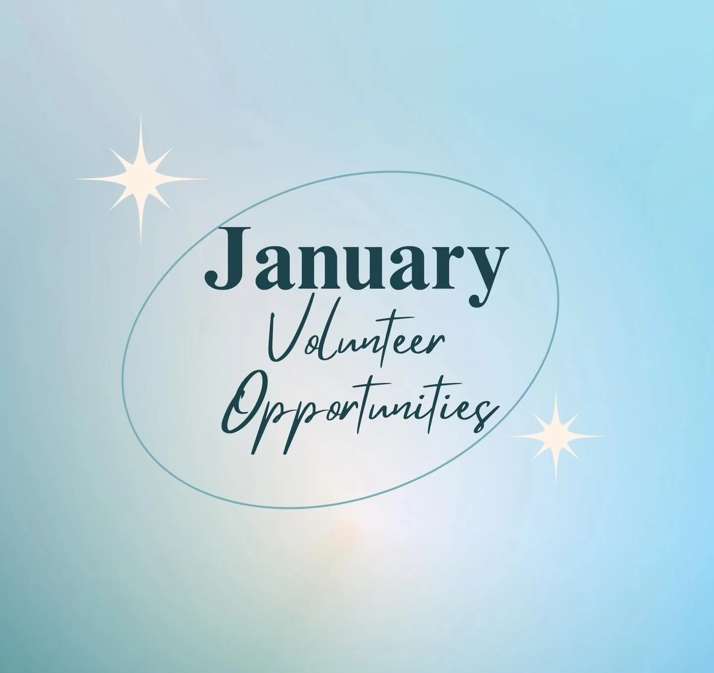 January Volunteer Opportunities ☃️ Link in Bio