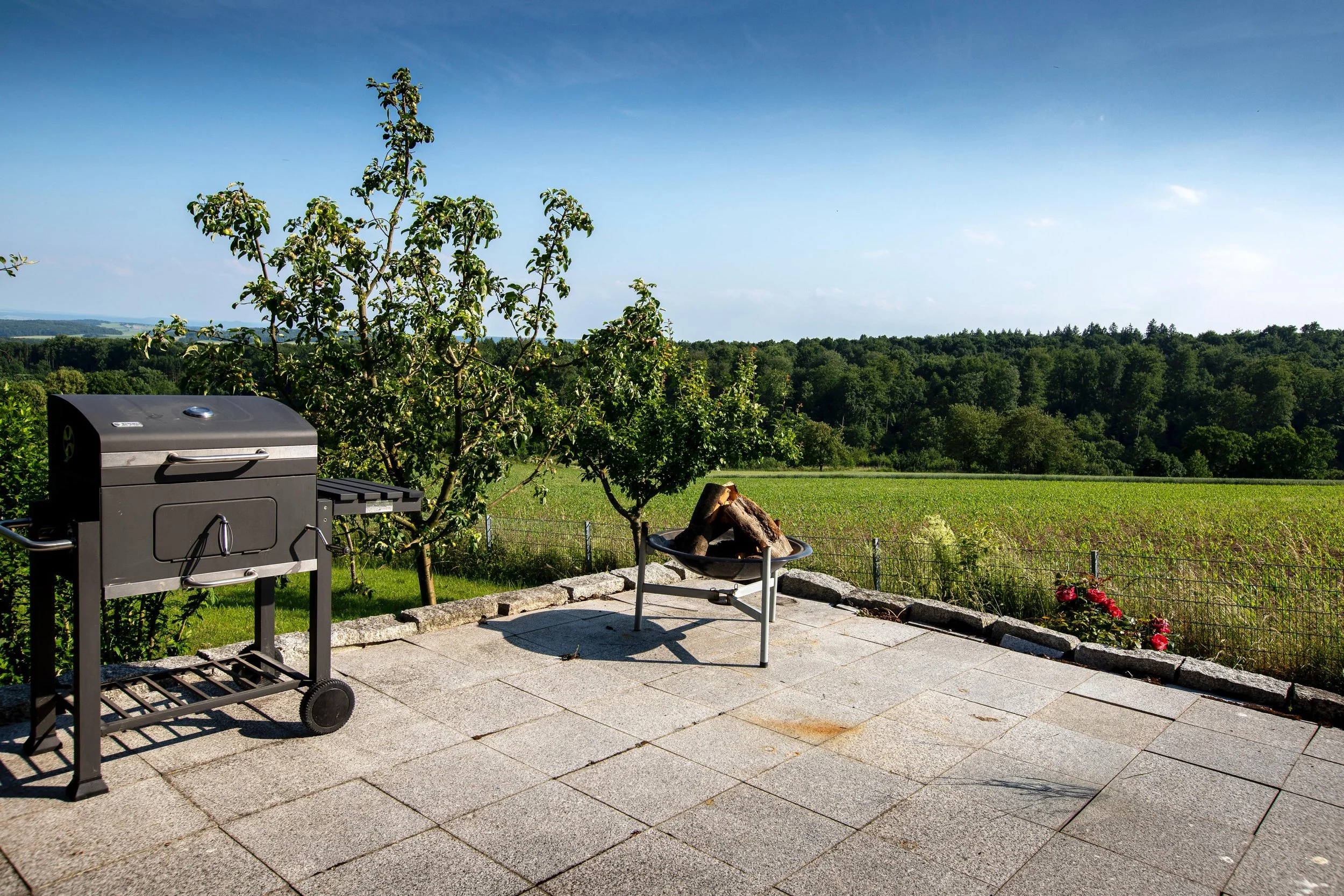Garten mit Grill, Schaukel und Bäumen, Blick auf waldreiche Landschaft