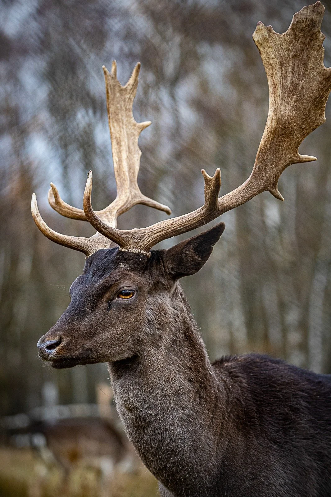 Wildpark Hardegsen Übersichtskarte
