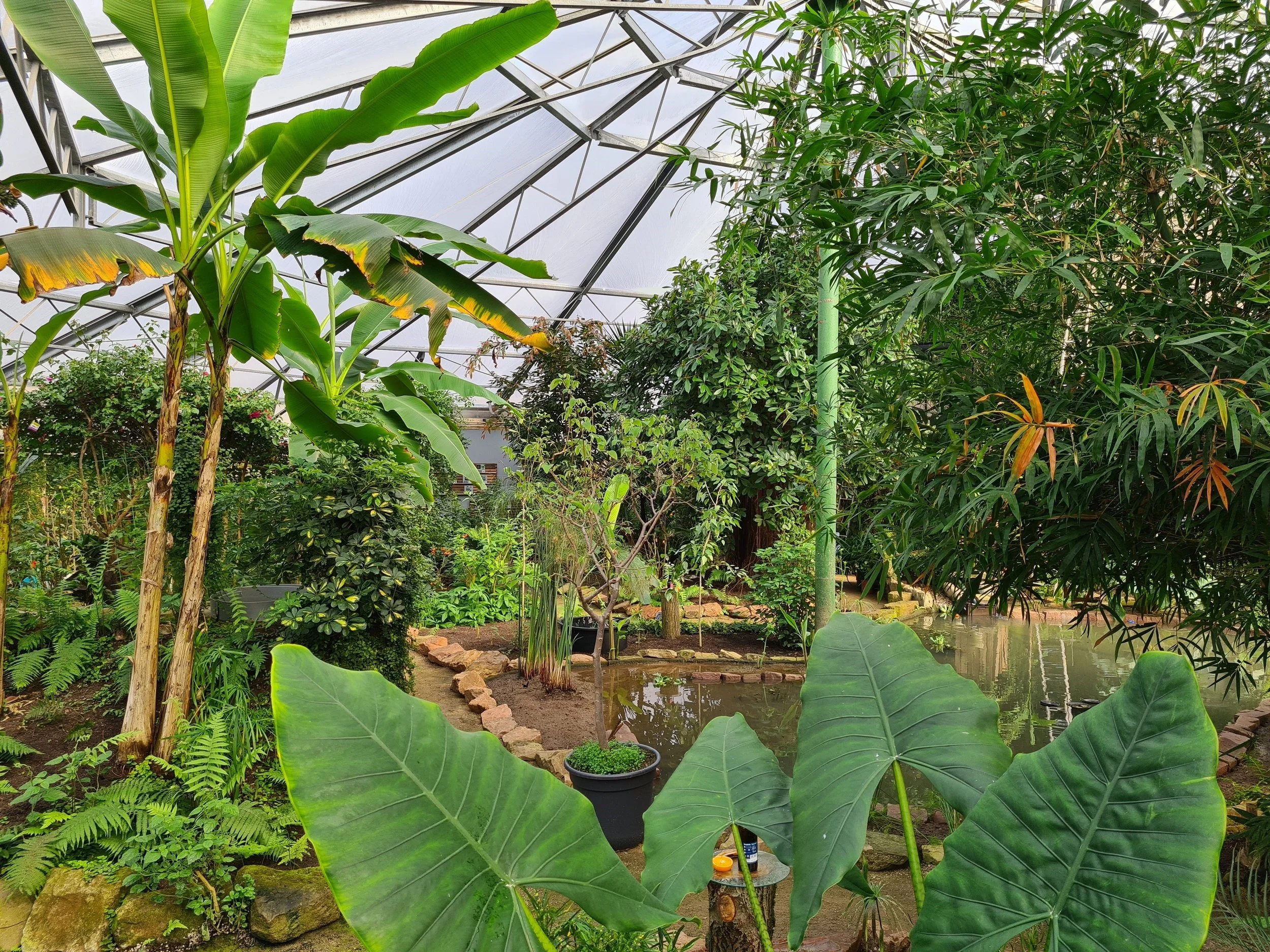 Schmetterlingspark Uslar