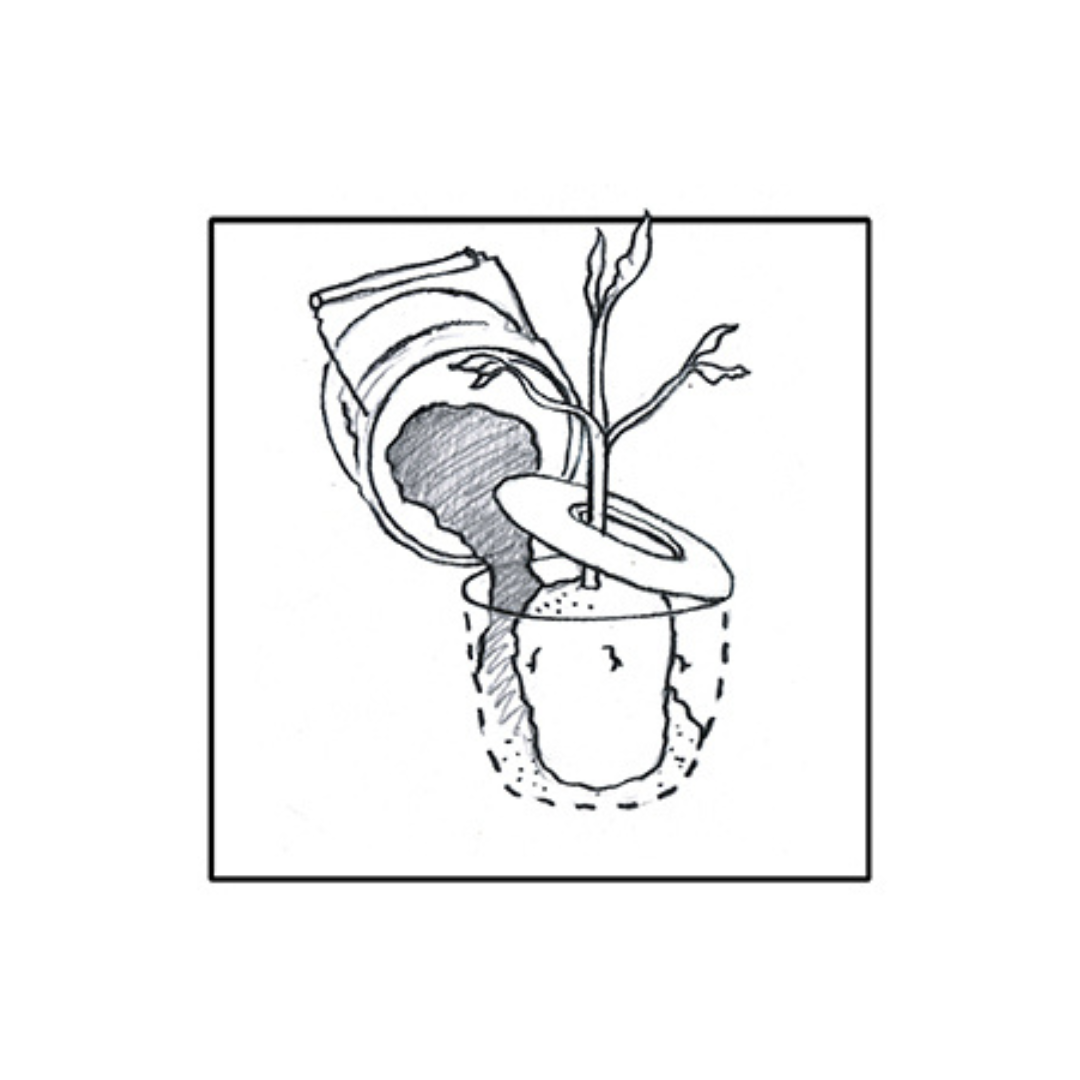 Backfill with the neutralized ash mixture and soil to ground level.