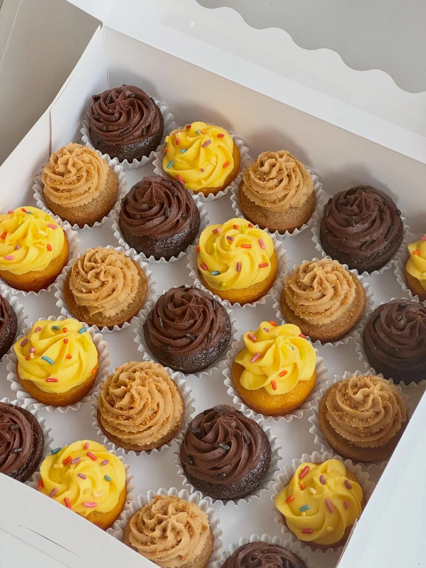 A joyful little mix made for celebrating 🧁✨

Chocolate, Cookie Butter (with Biscoff), and Mango mini cupcakes&hellip; bright, fun, and easy to love. Made vegan so the birthday twins and their party guests could all enjoy the same treats 🥰

Mini cup