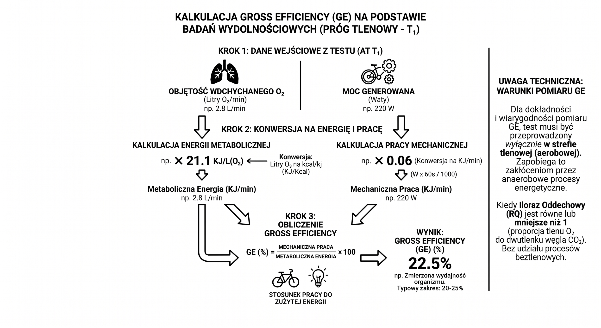 Gross Efficiency - Czym jest efektywność? I jak ją poprawić?