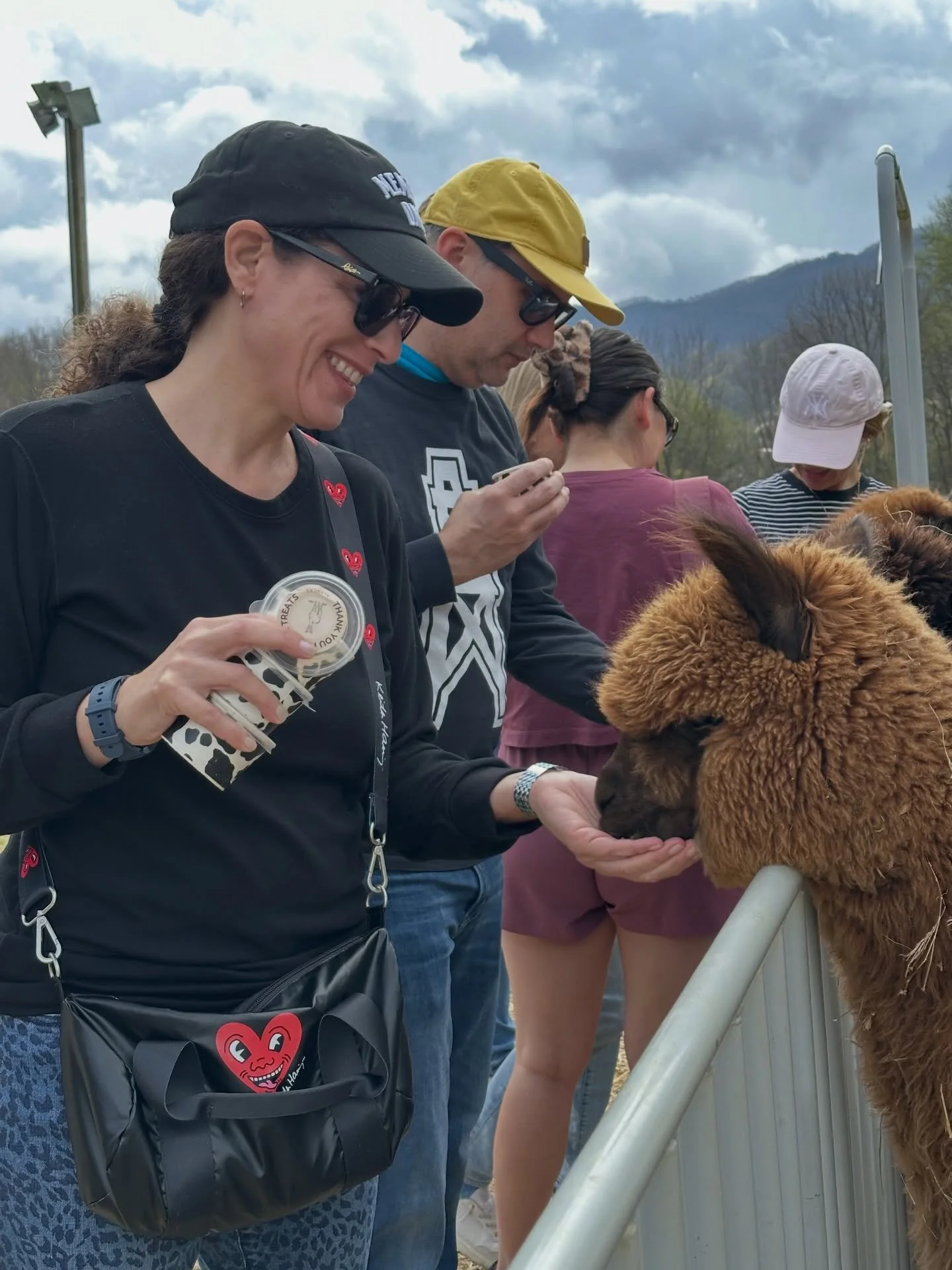 Got to spend some quality time in Western North Carolina a few weeks back. Such natural beauty!!! 🌄
@winchestercreekfarm 
.
.
.
#westernnc #westernnorthcarolina #alpakas #mountains #smokymountains