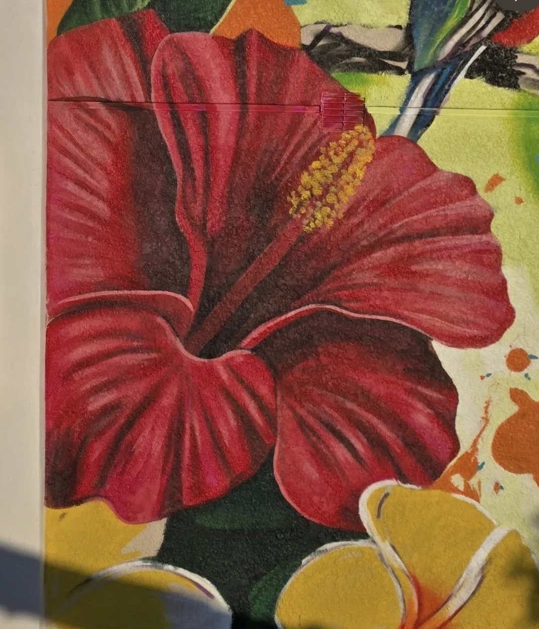 Nate La Cabana Detail1.jpg