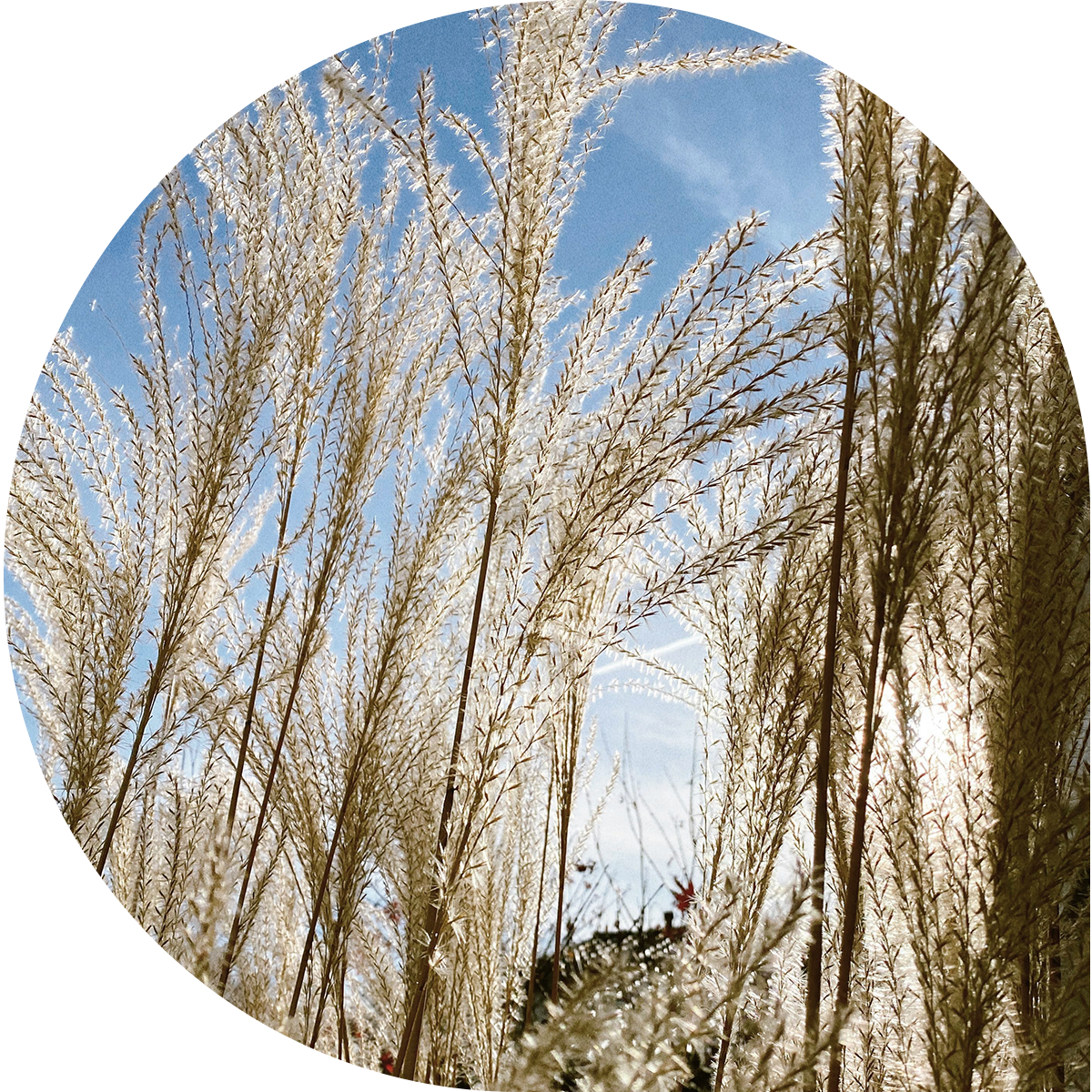 Sexuality Education Resource Centre (SERC)