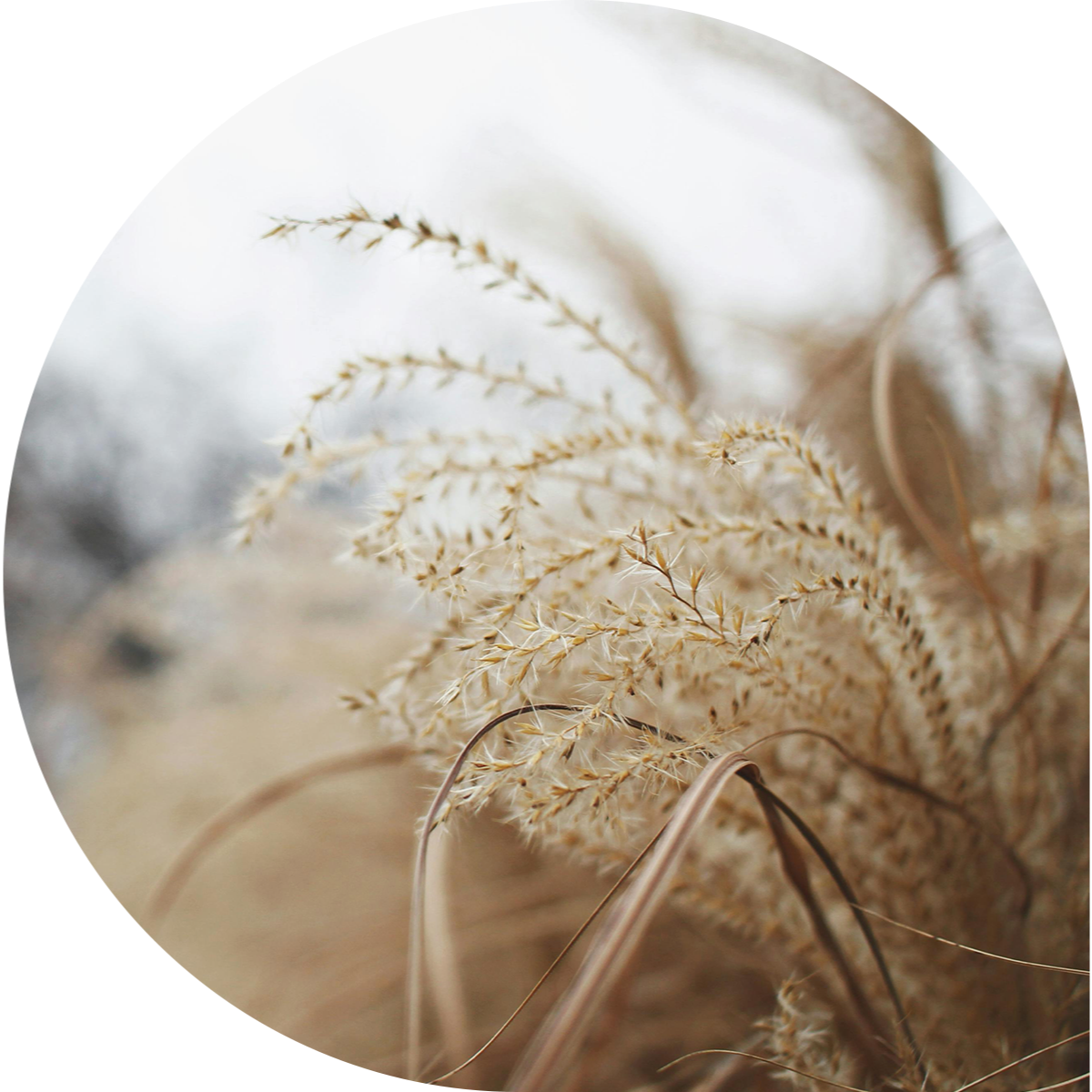 Peace Arch Hospice Society