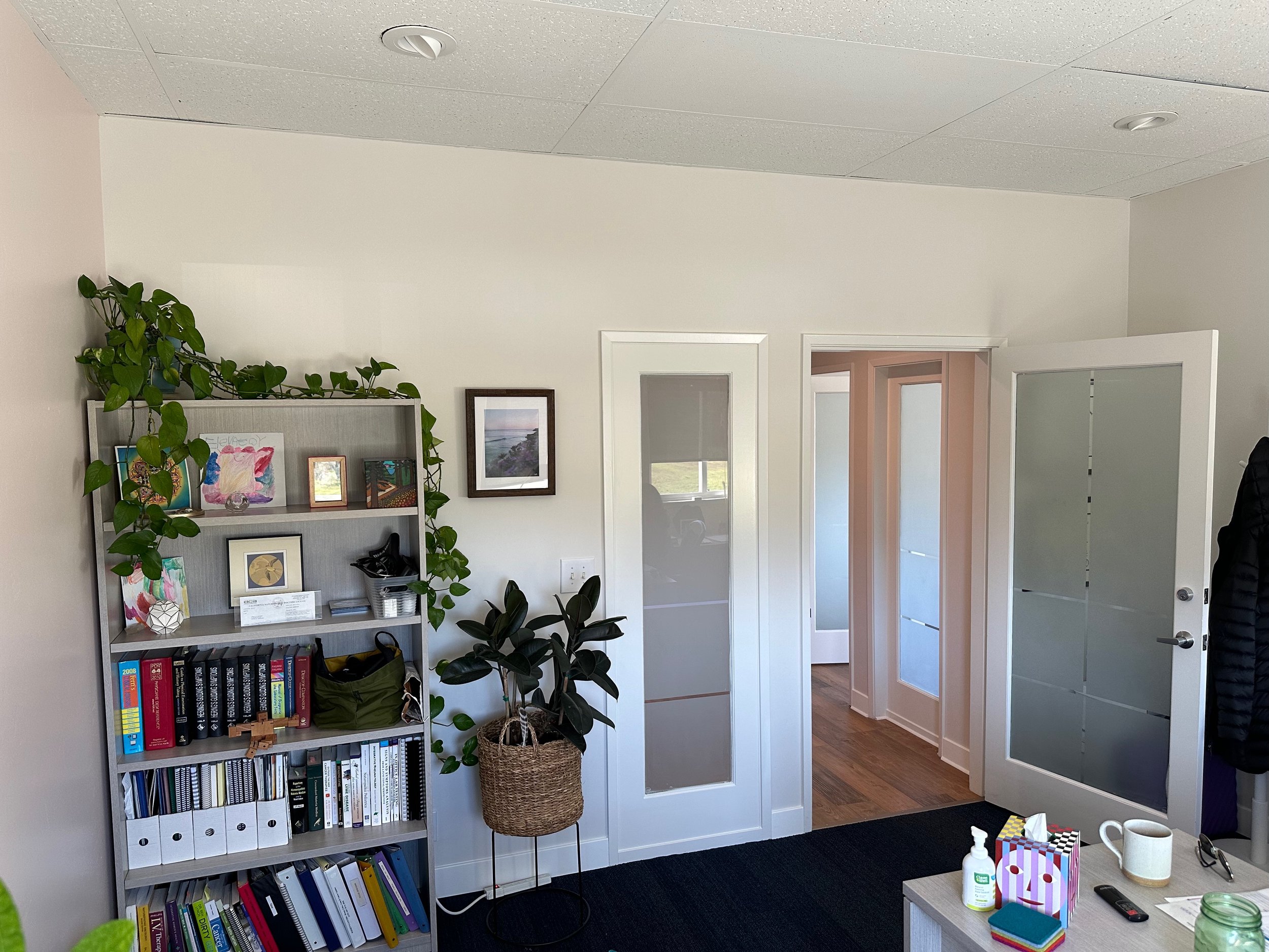 Office interior with white walls, a bookshelf with books and photos, potted plant, open door with frosted glass, and a table with hand sanitizer, mugs, and gifts.