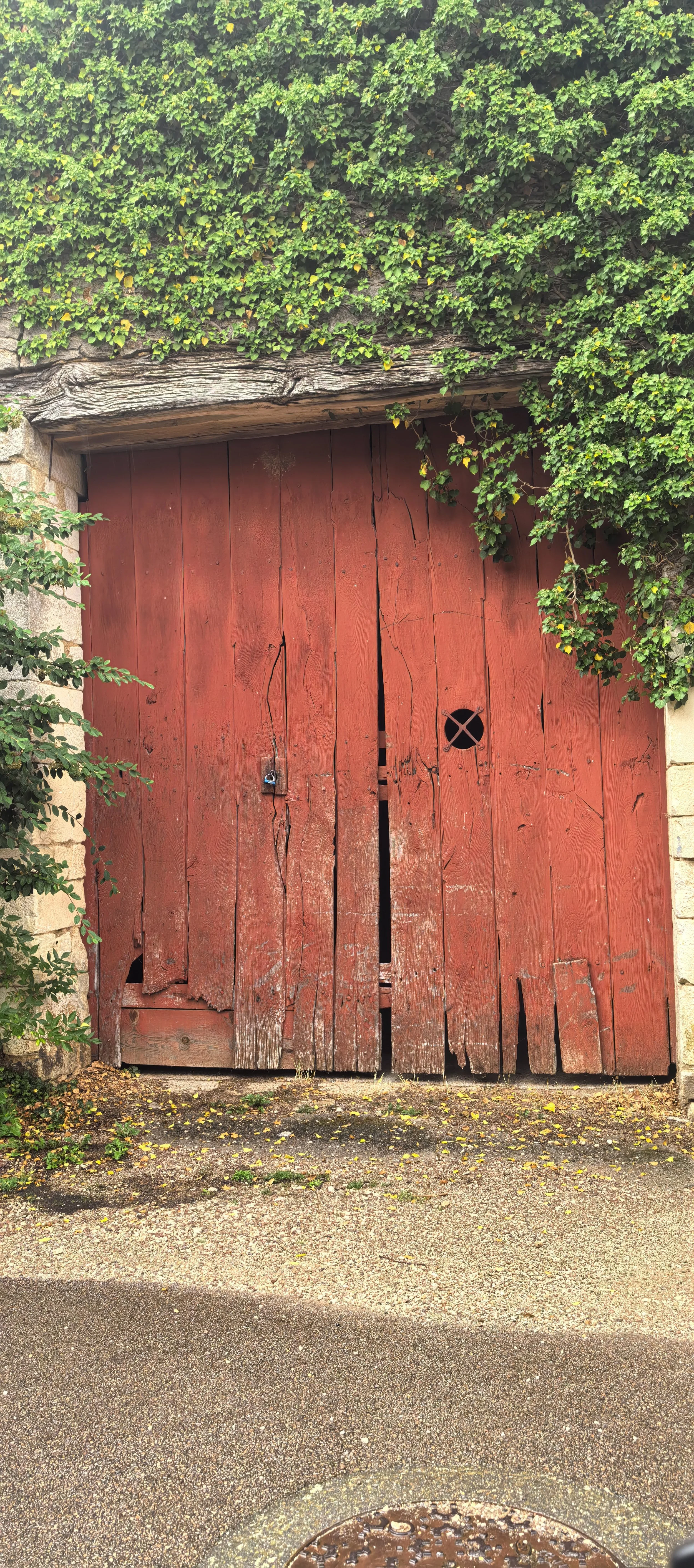 Alte, verrostete rote Holztür mit Rissen und Schäden, umgeben von grünen Pflanzen und Efeu, auf einer asphaltierten Straße.