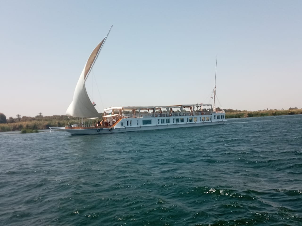 Ein weißes Kreuzfahrtschiff mit großen Segeln auf offenem Wasser, im Hintergrund eine Uferlinie mit Büschen und few Bäumen, bei Sonnenlicht, ruhige See.