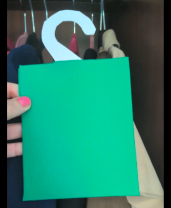 Wardrobe care moth protector .png