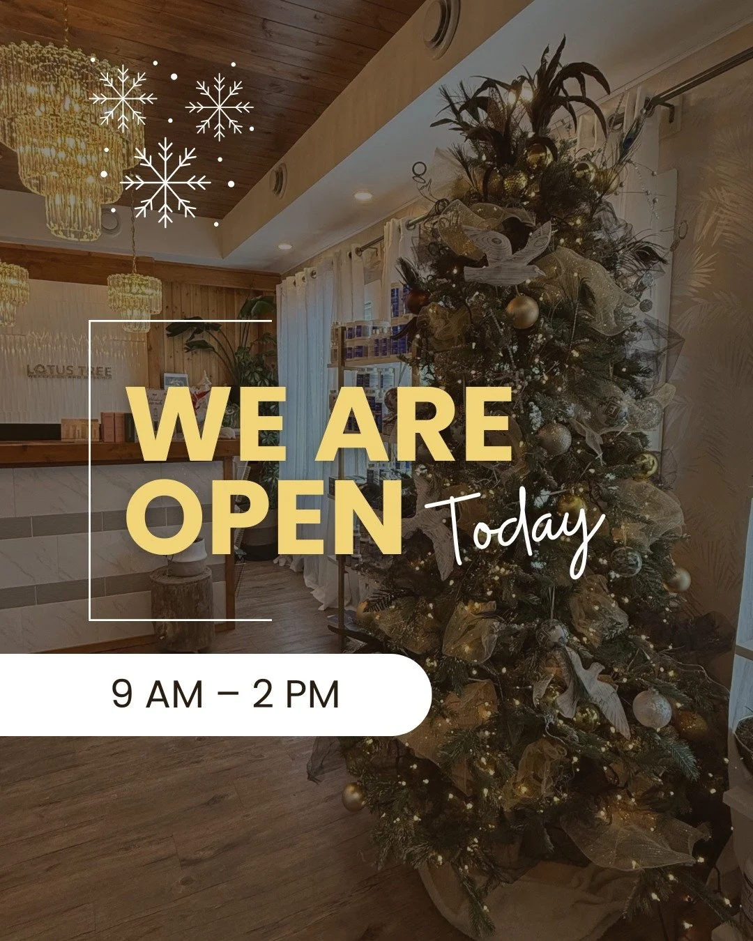 We&rsquo;re open today from 9&ndash;2 so you can get your last minute shopping done 🎄✨
