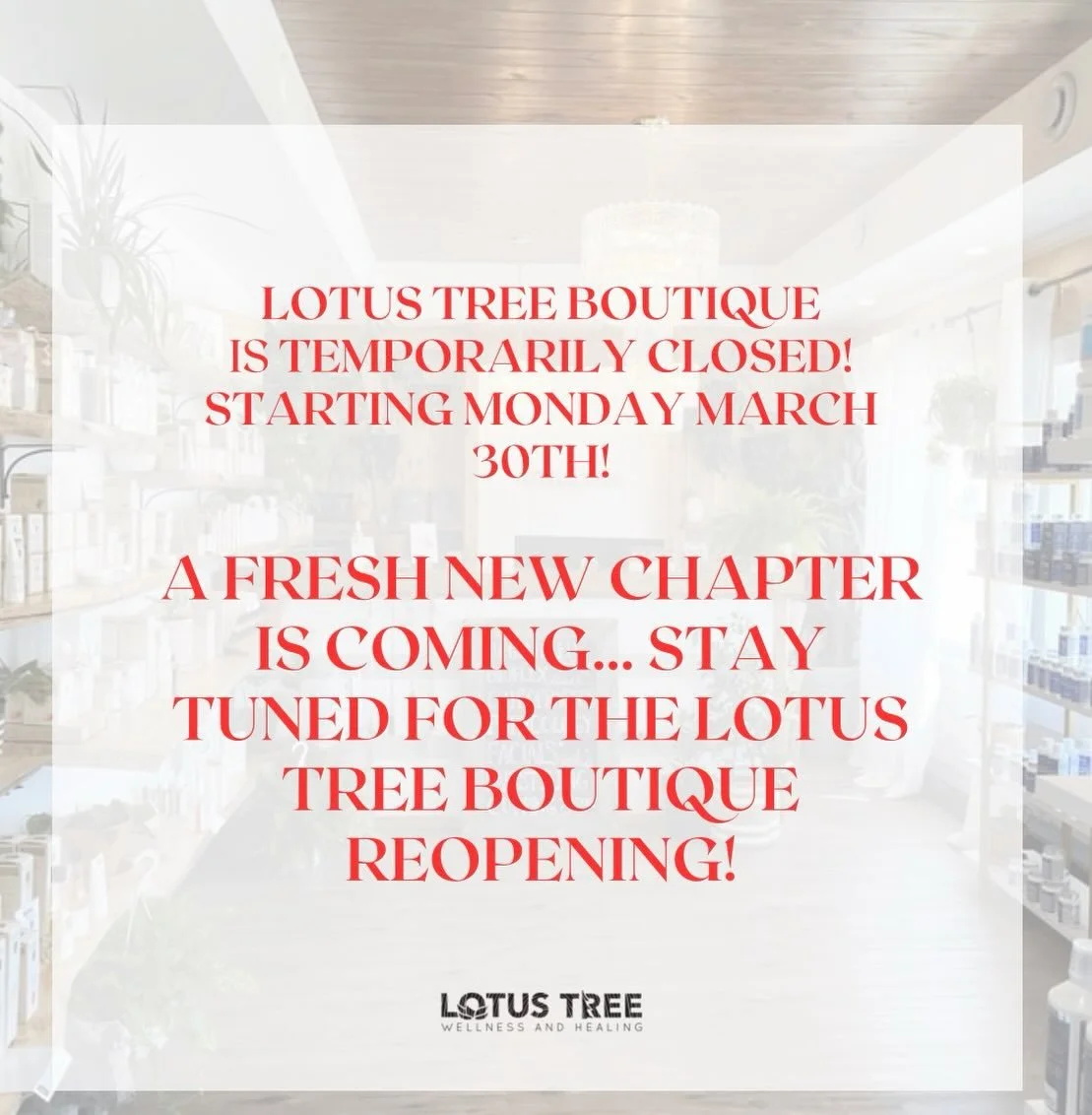 All services remain as scheduled!!! Stay tuned for our boutique reopening!