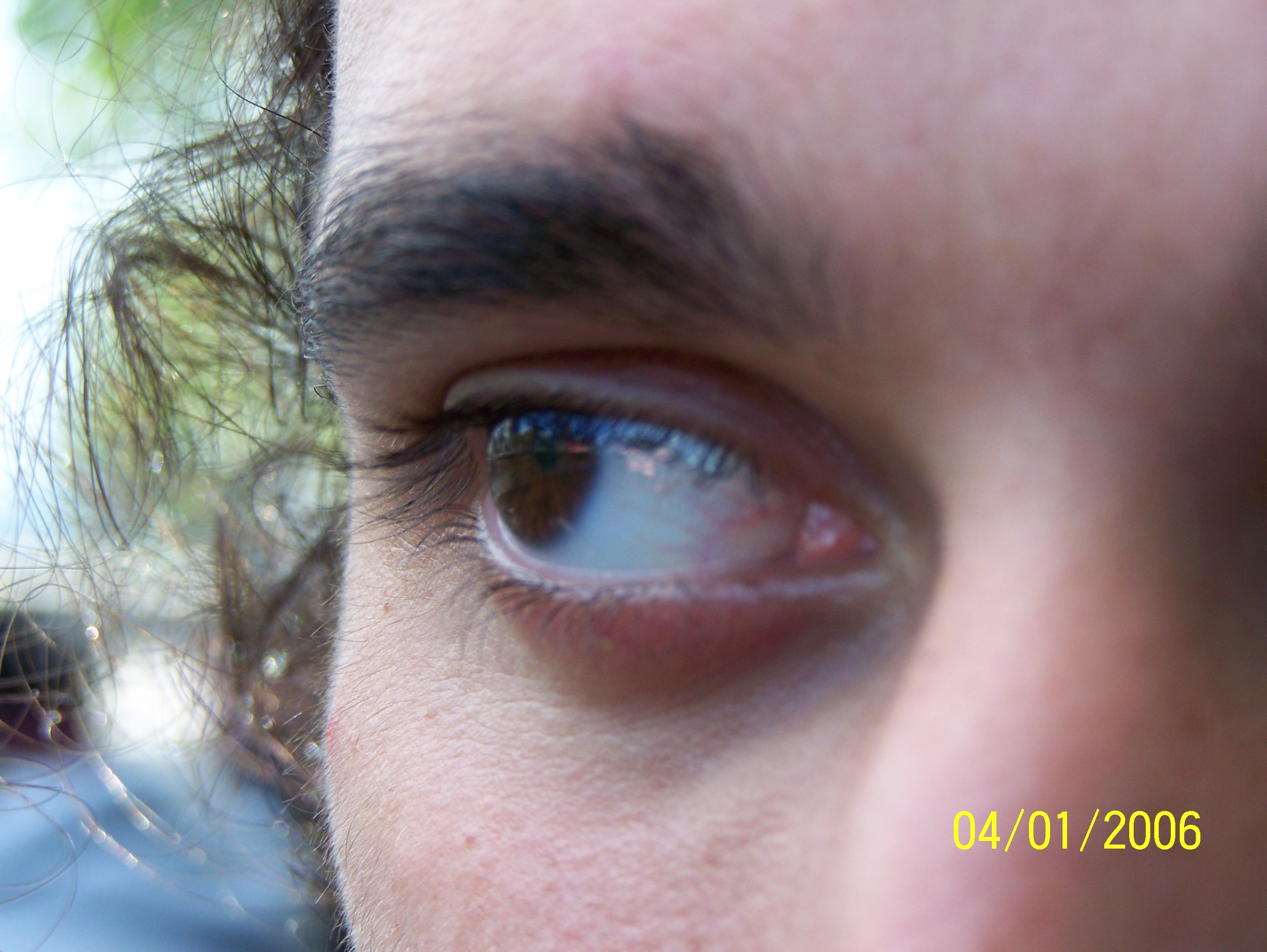 100_2771.JPG