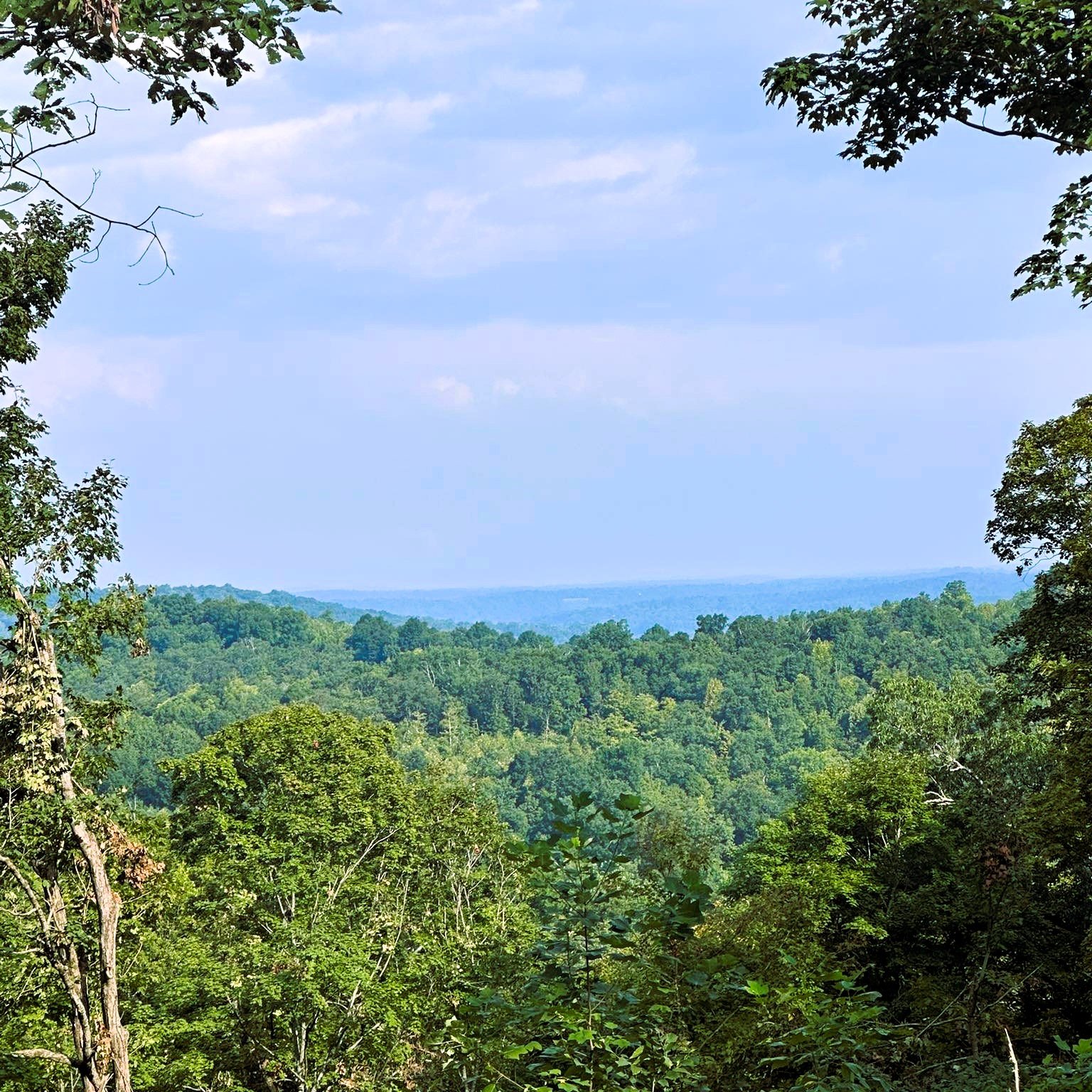 View 3 Filter.jpg