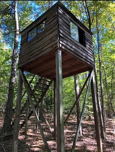 Treehouse.jpeg