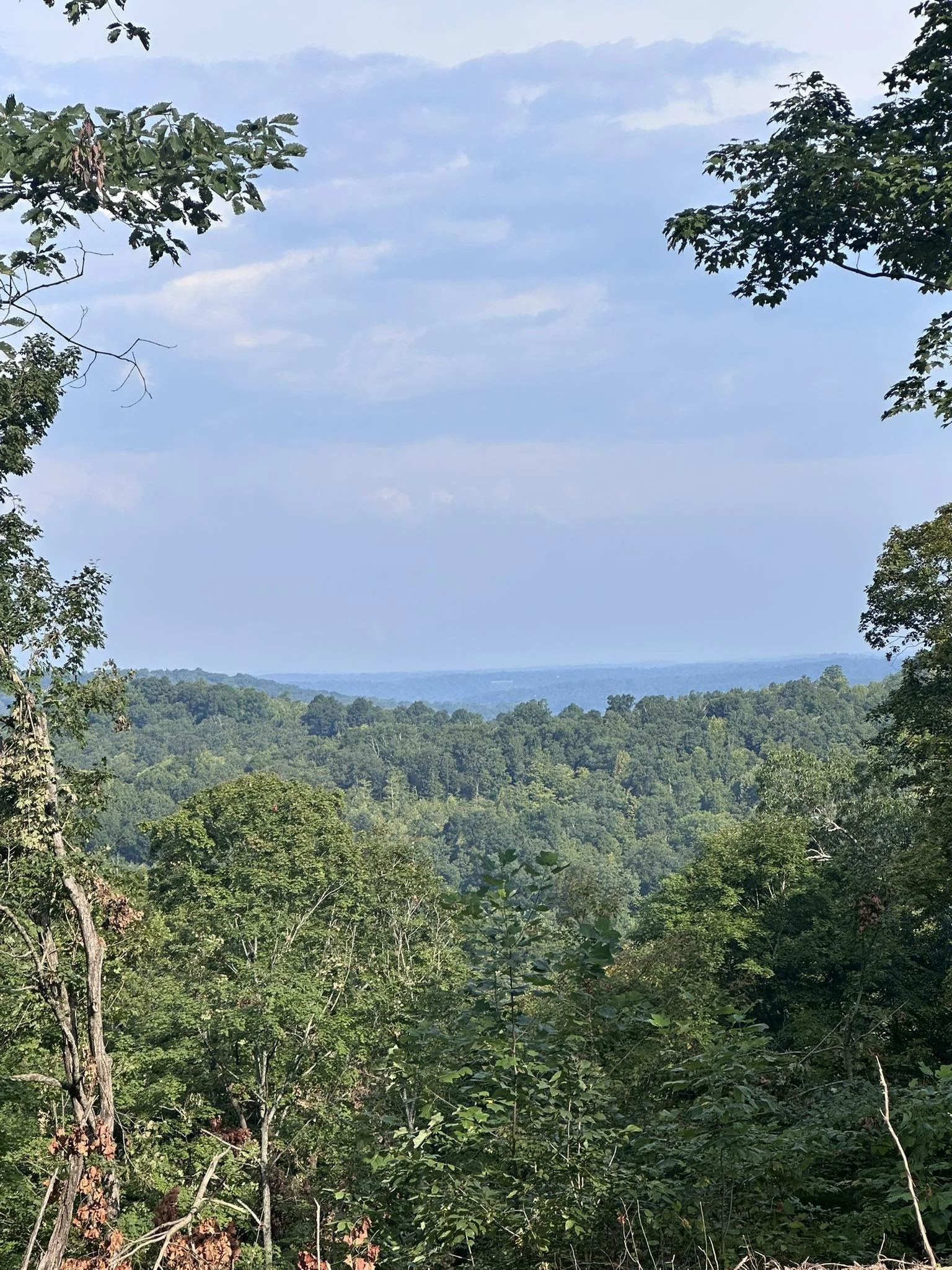 View3.jpg