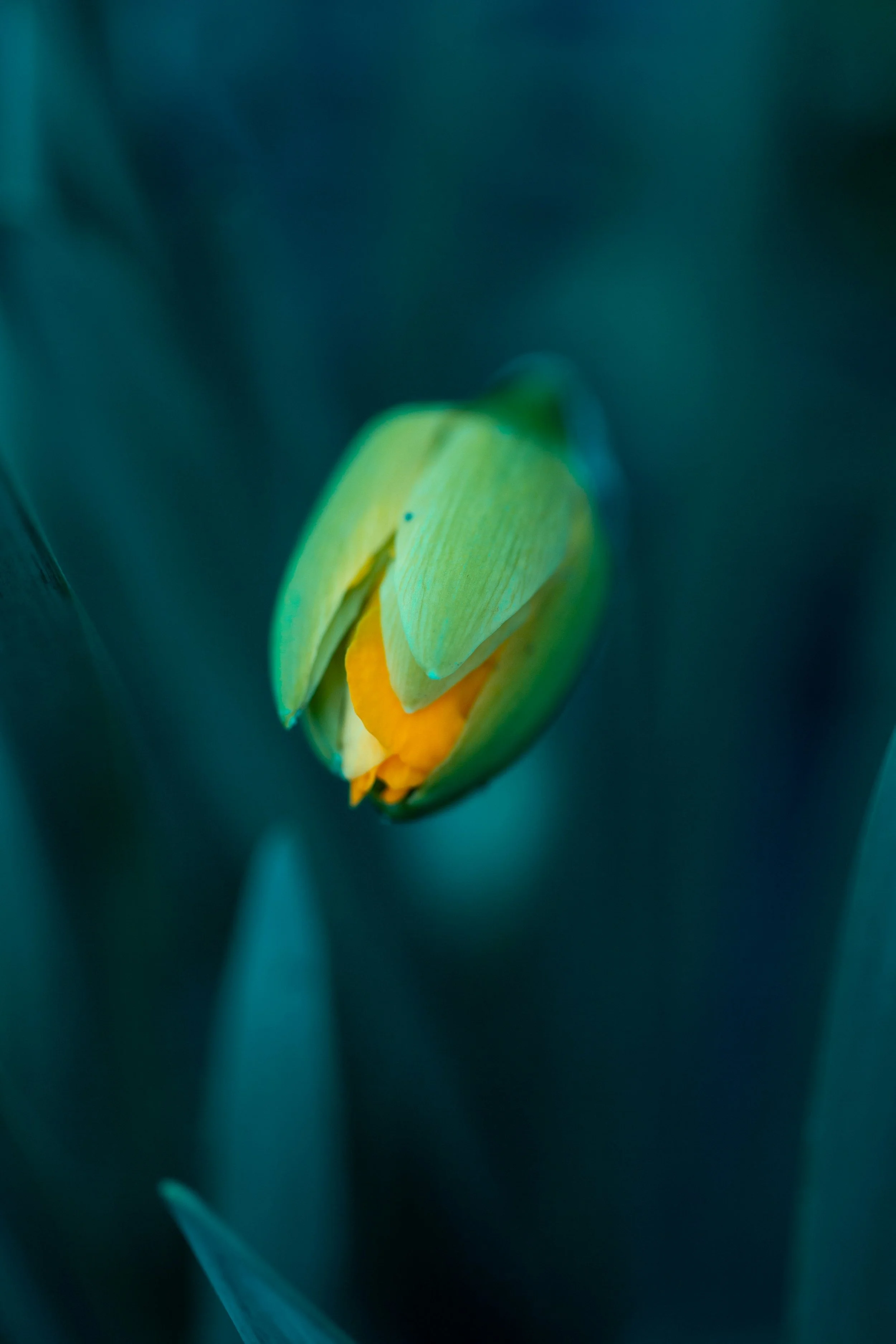 Ideation Clarity Call