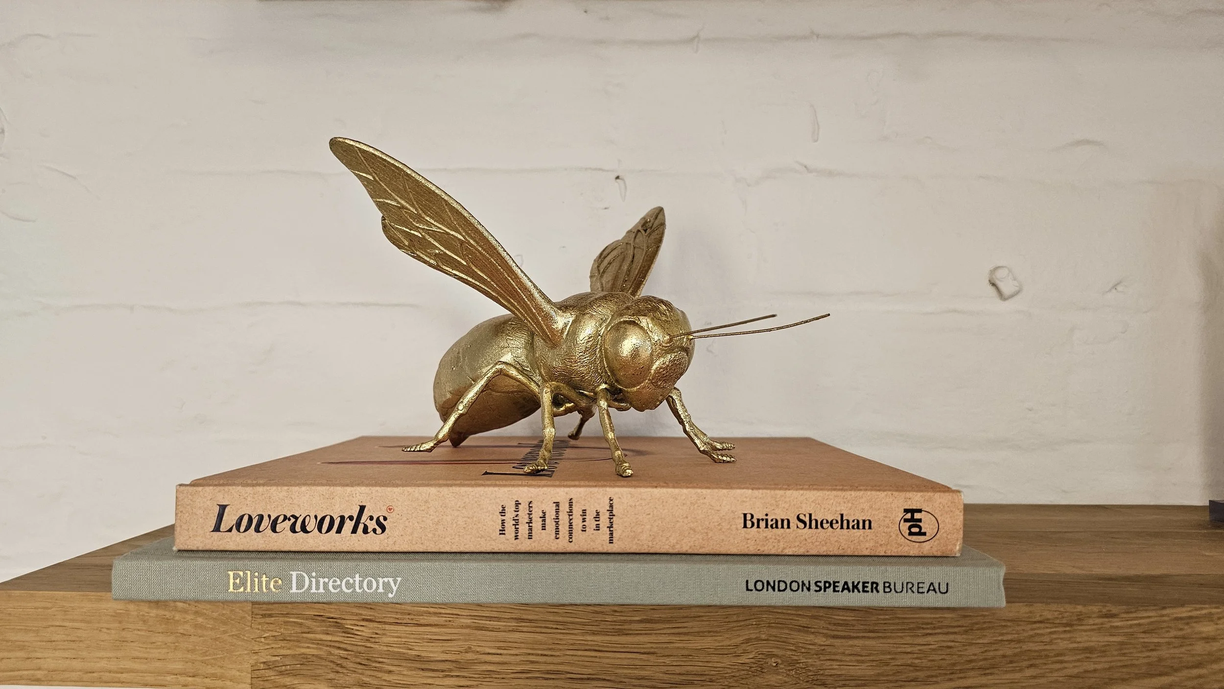 A gold-colored sculpture of a fly with detailed wings and body, placed on top of a stack of books on a wooden surface against a white brick wall.