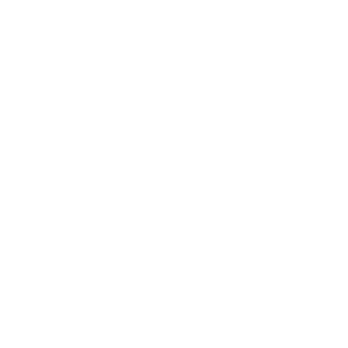 Security Clearance Icon.png