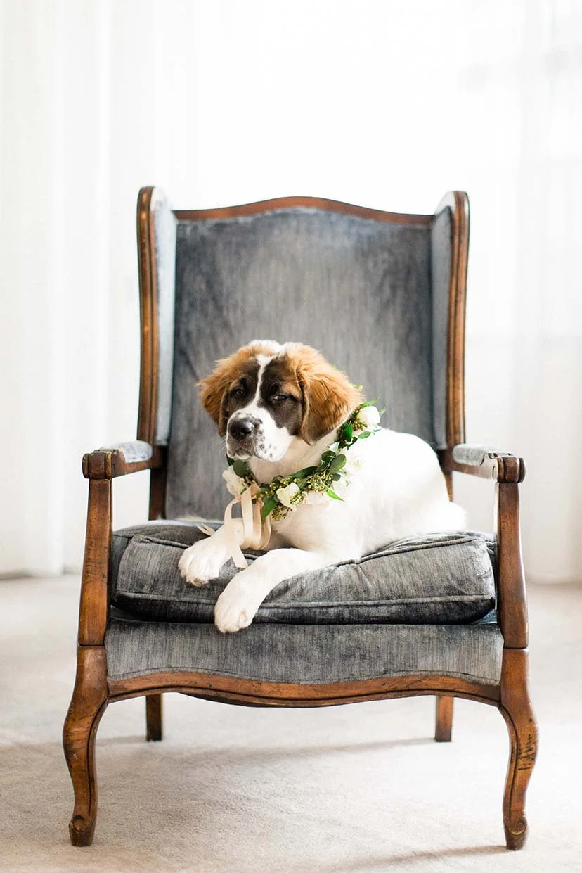 TRUE GRACE PHOTOGRAPHY 2.jpg