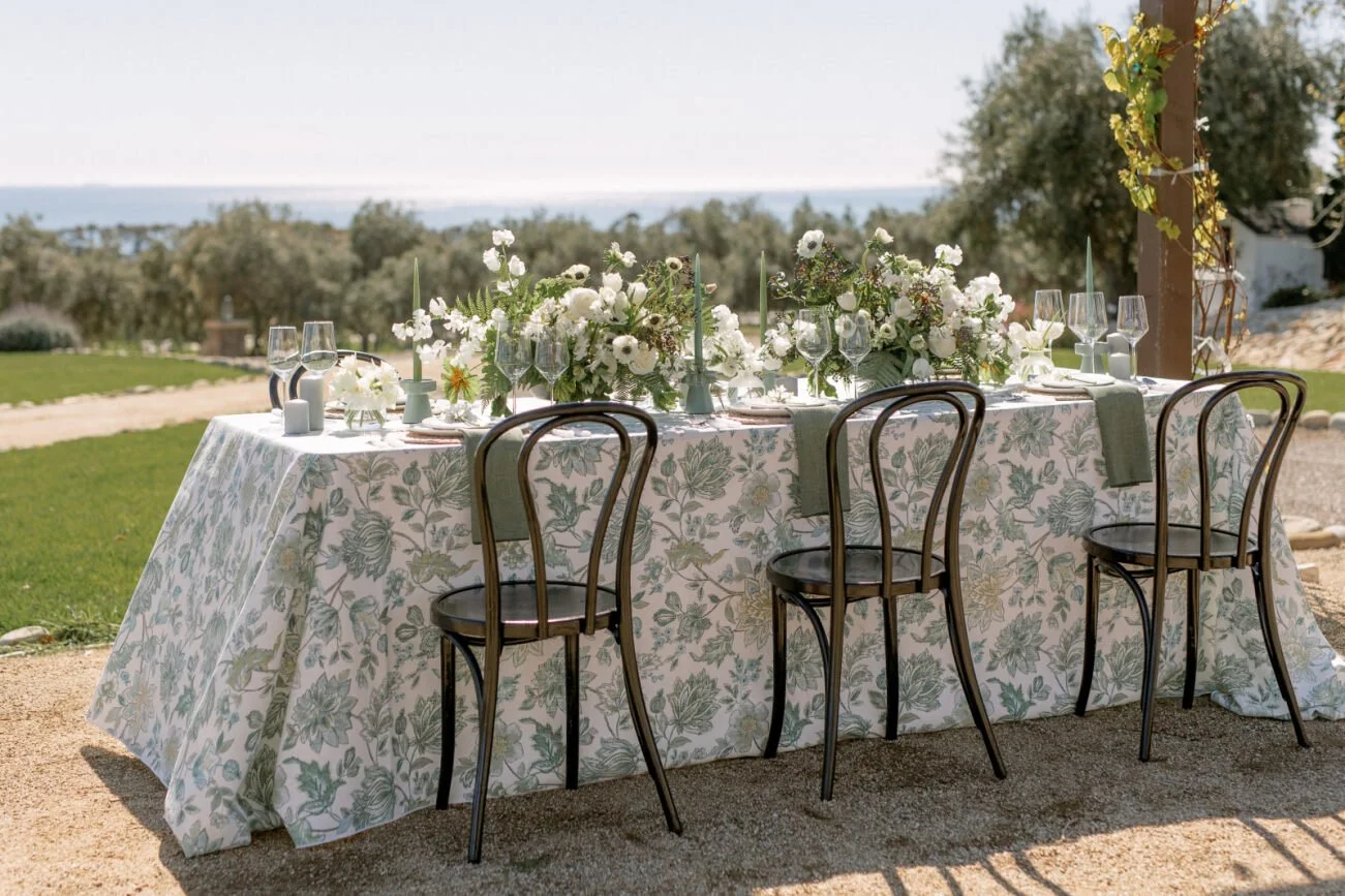 Adora Collection 2.jpg