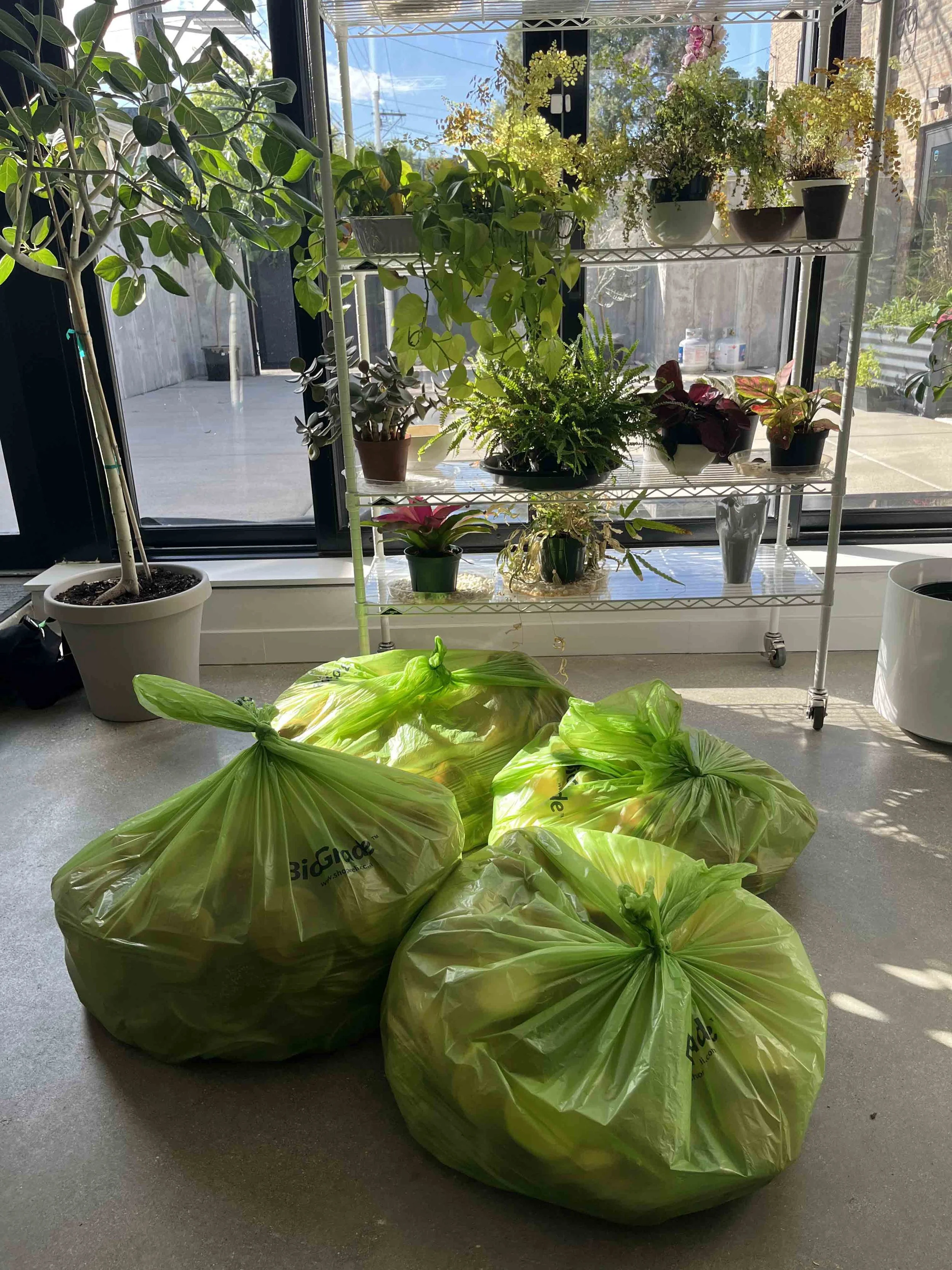 PHOTO BY ELLEN WHITE.jpg