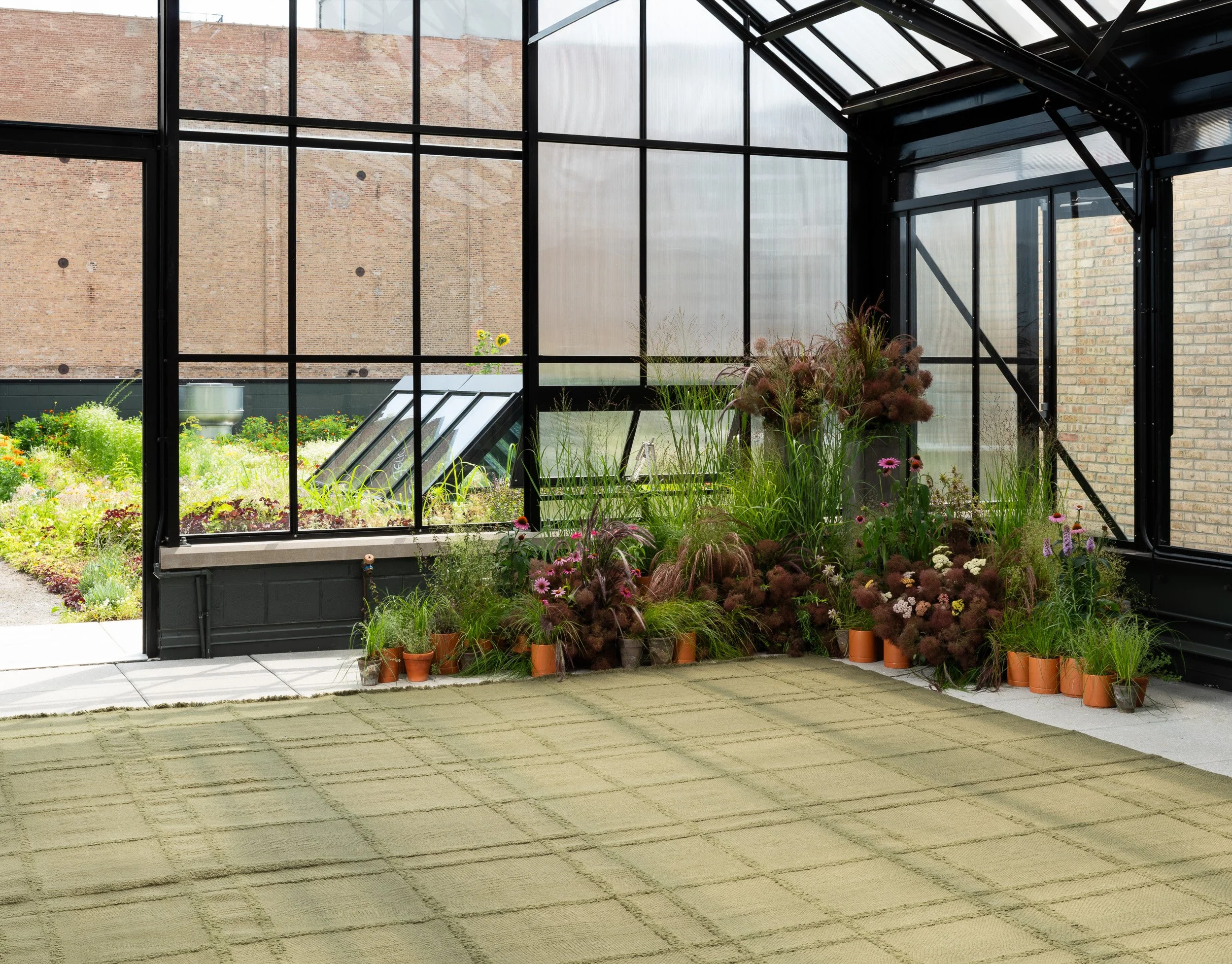 Rooftop Terrace plants at The Roof Crop