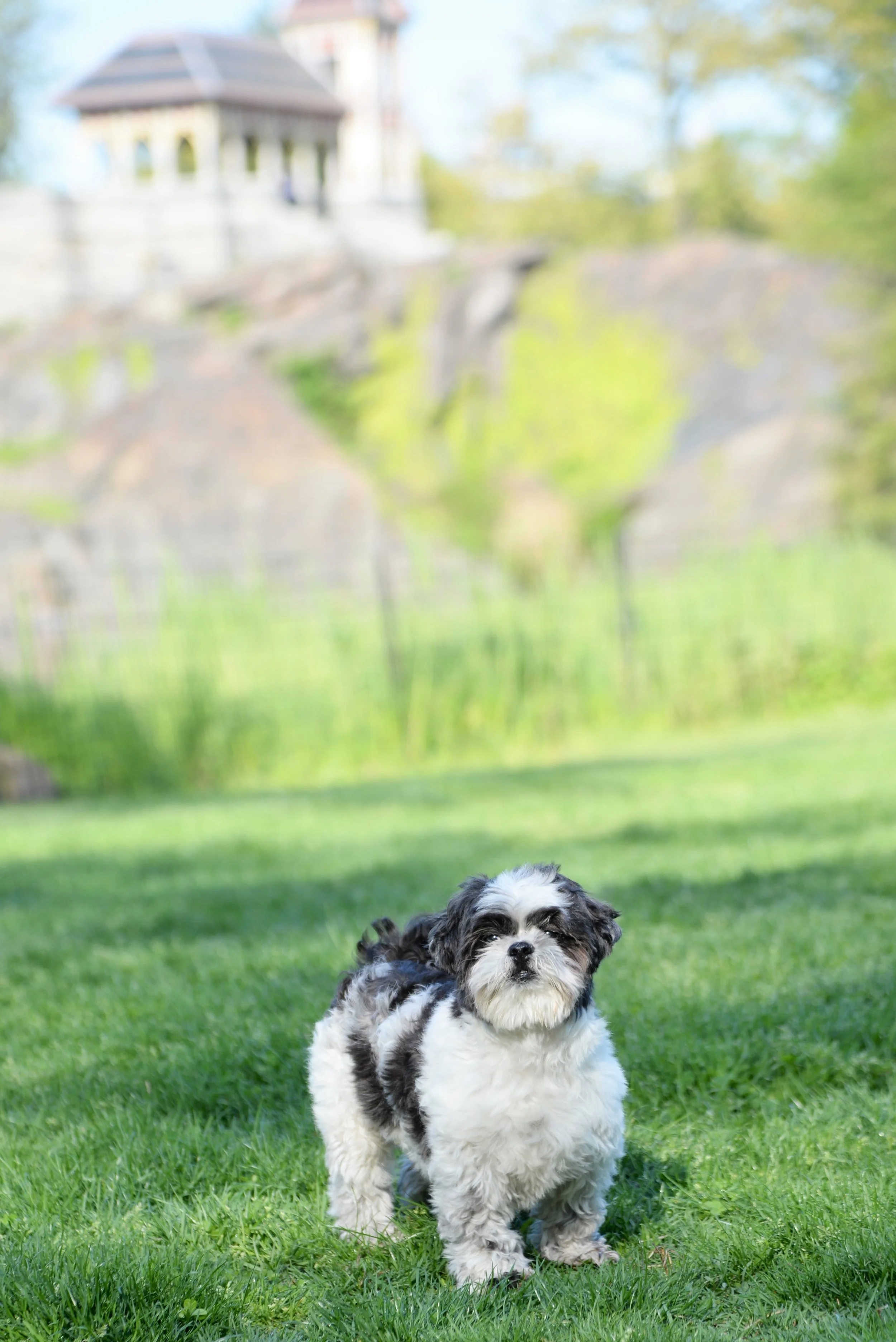 DSC_6406.jpg