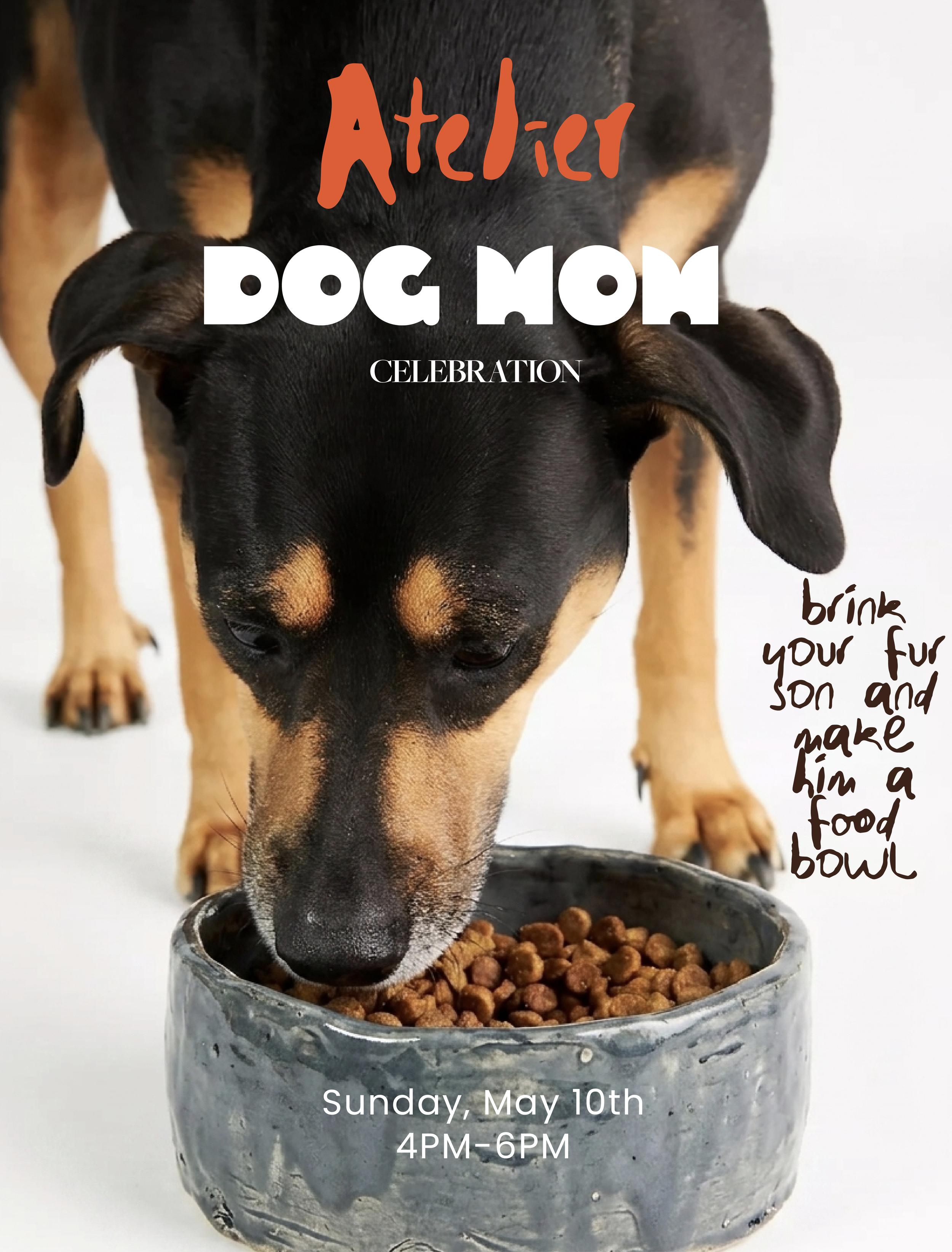 ABA_DigitalComs_DOG MOM.png