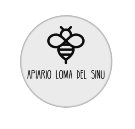 Captura de pantalla 2025-07-28 a la(s) 1.11.53 p.m..png