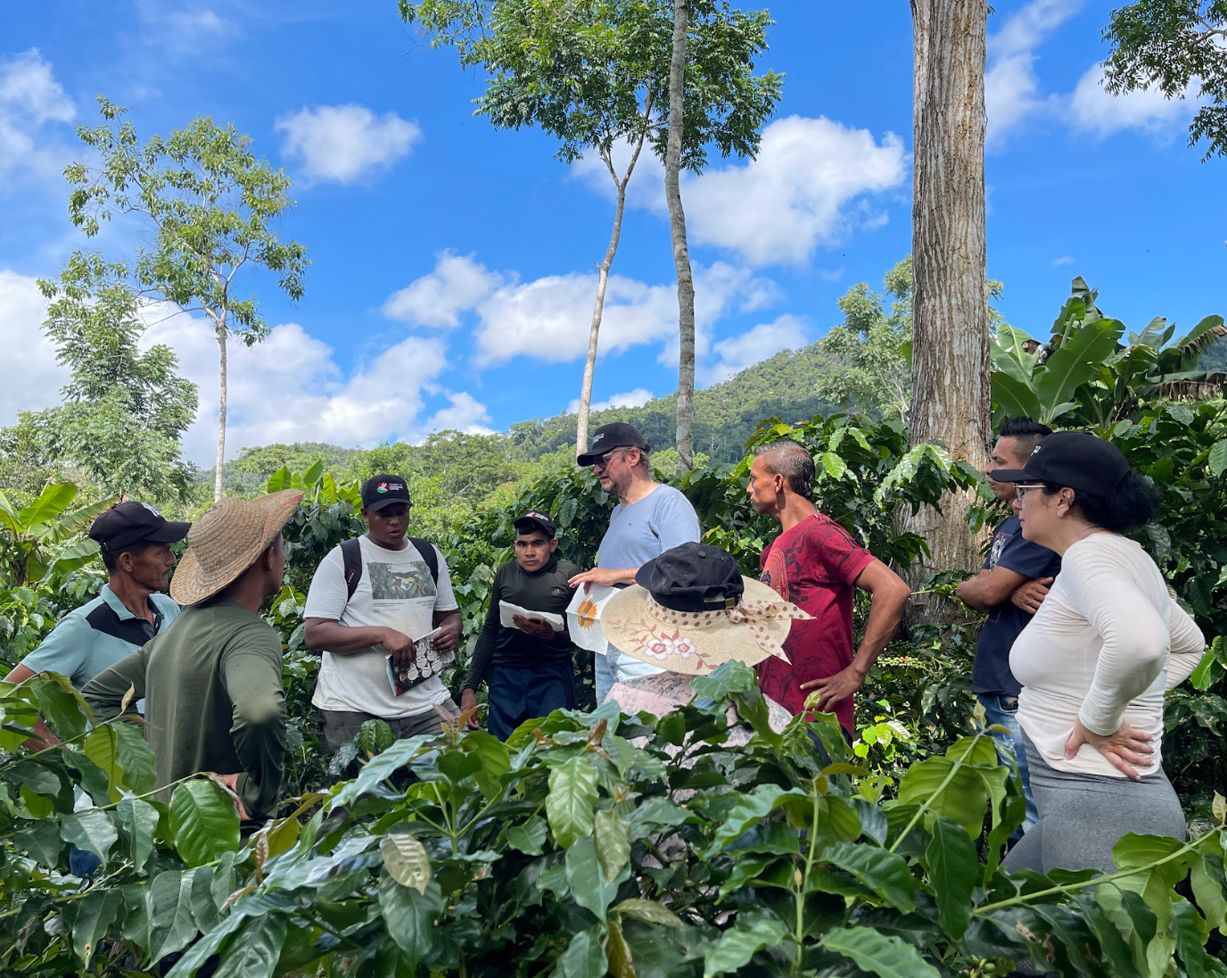 Captura de pantalla 2025-07-31 a la(s) 3.03.14 p.m..png