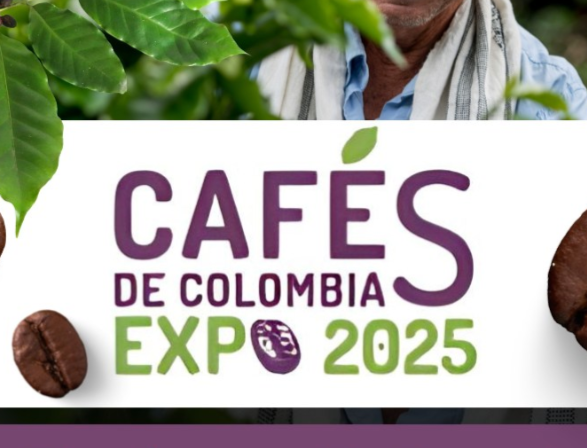 Captura de pantalla 2025-08-27 a la(s) 6.13.52 p.m..png