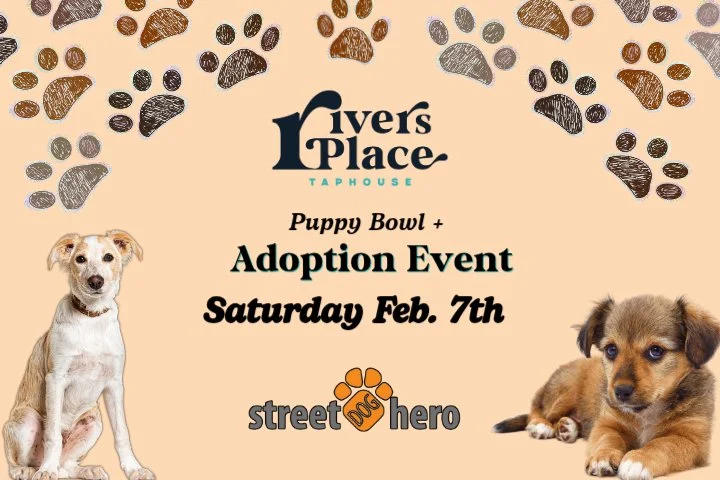 Adoption Event