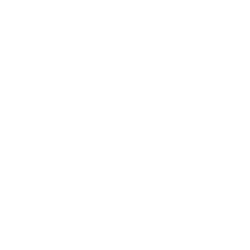 Devon Electrics