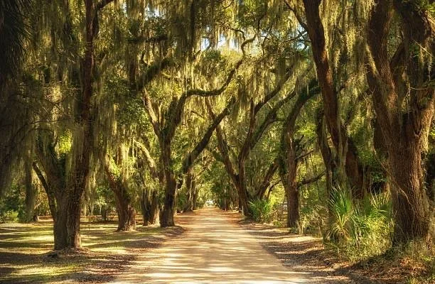 Johns Island, SC