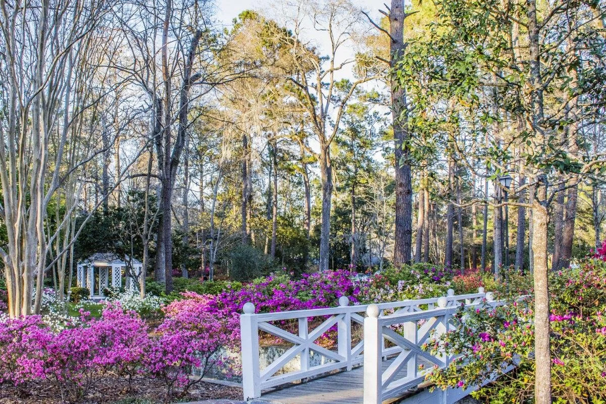 Living in Summerville, SC: A Complete Guide to Charleston’s Fast-Growing Suburb