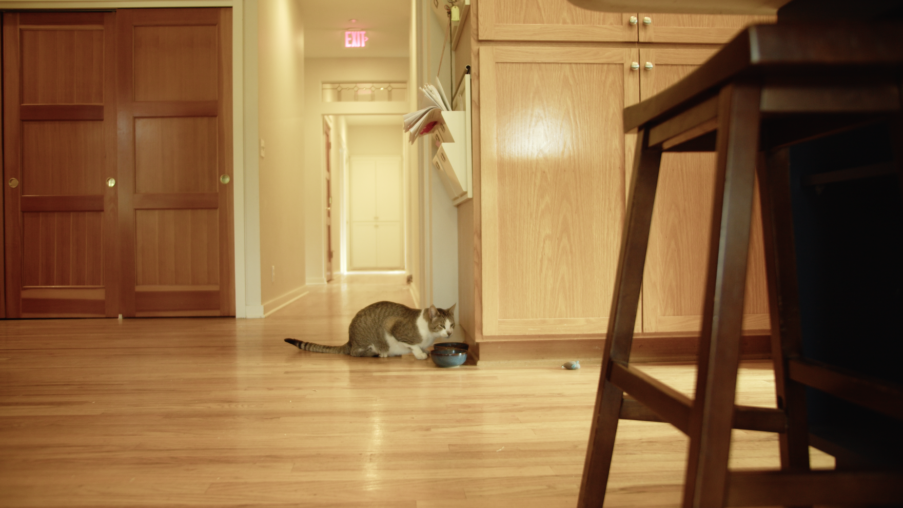 Restwell+Interior00086411.png
