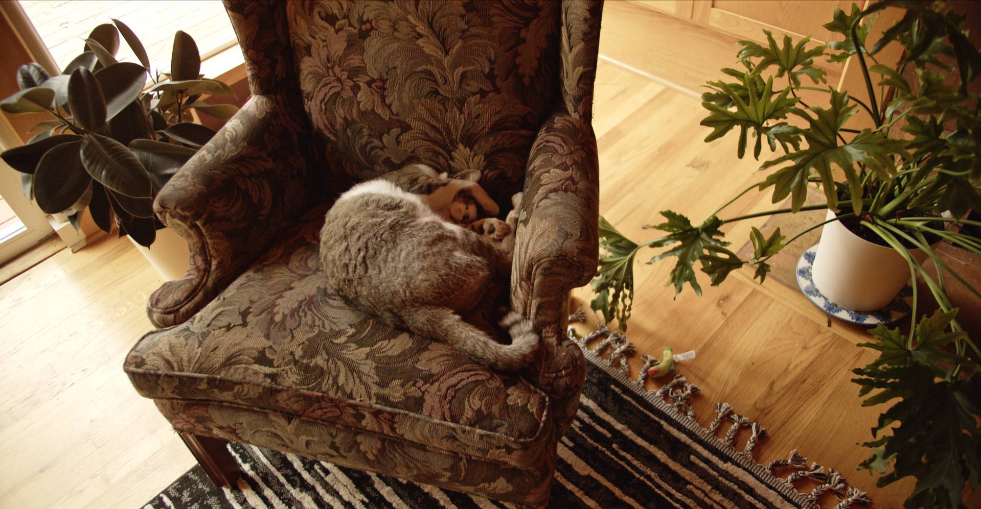Restwell+Interior00086403.png