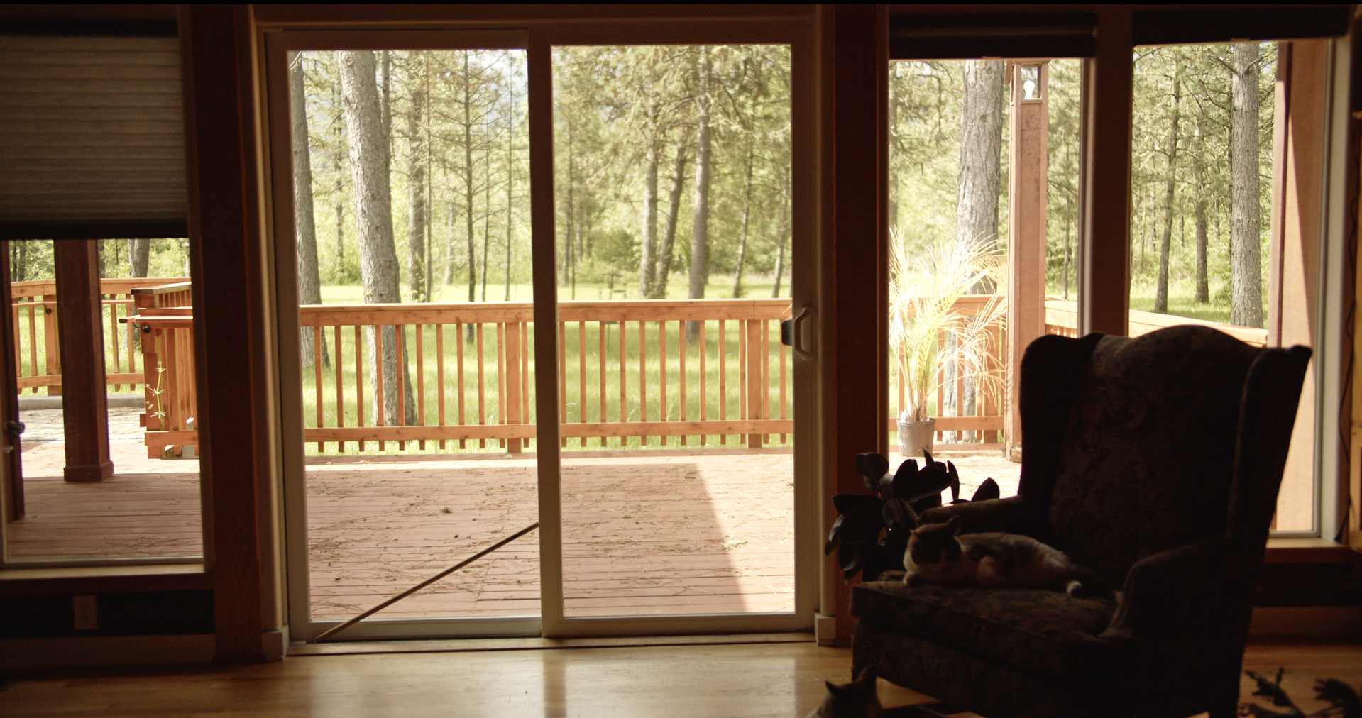 Restwell+Interior00086416.png