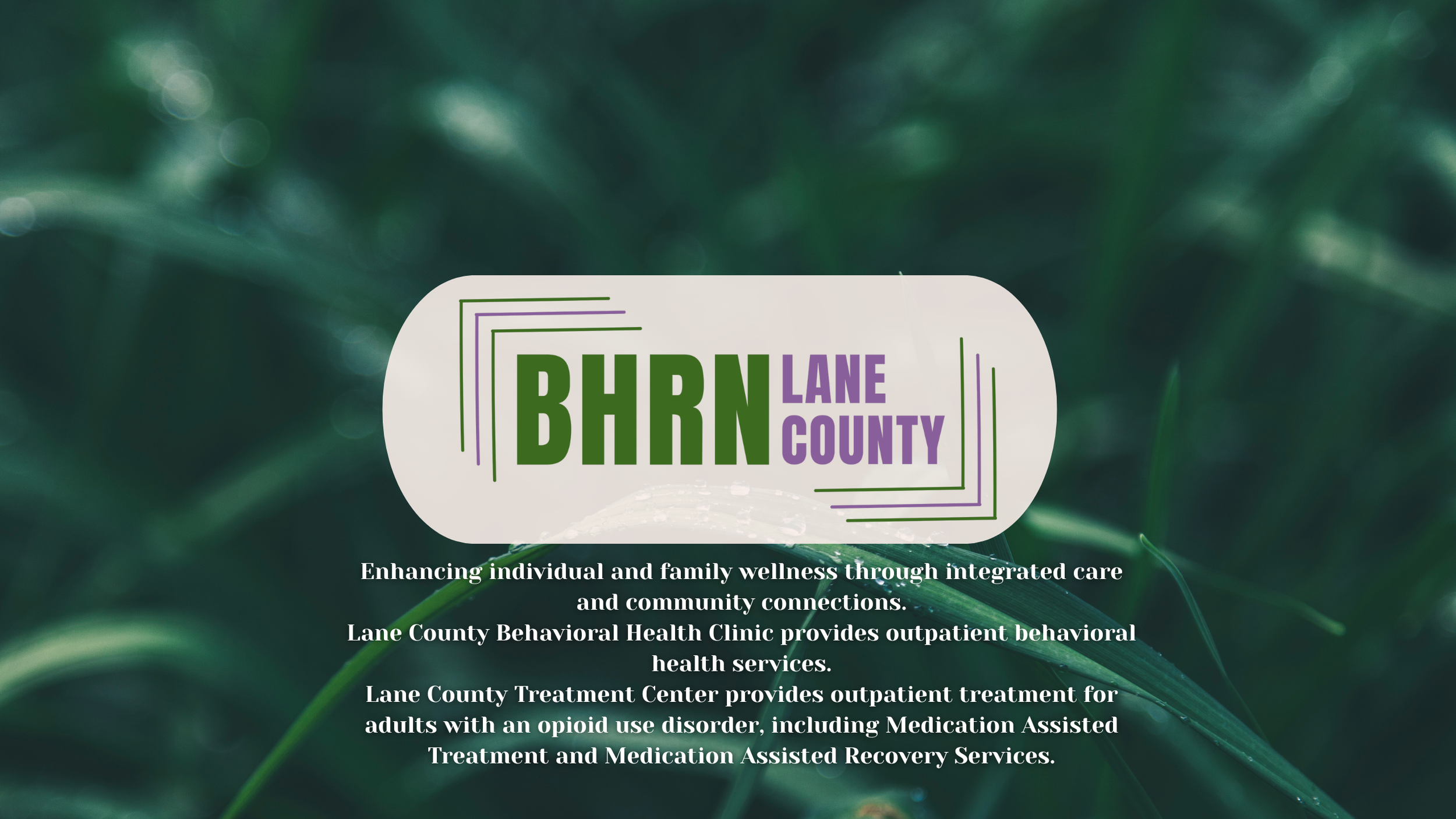 community partners7.png