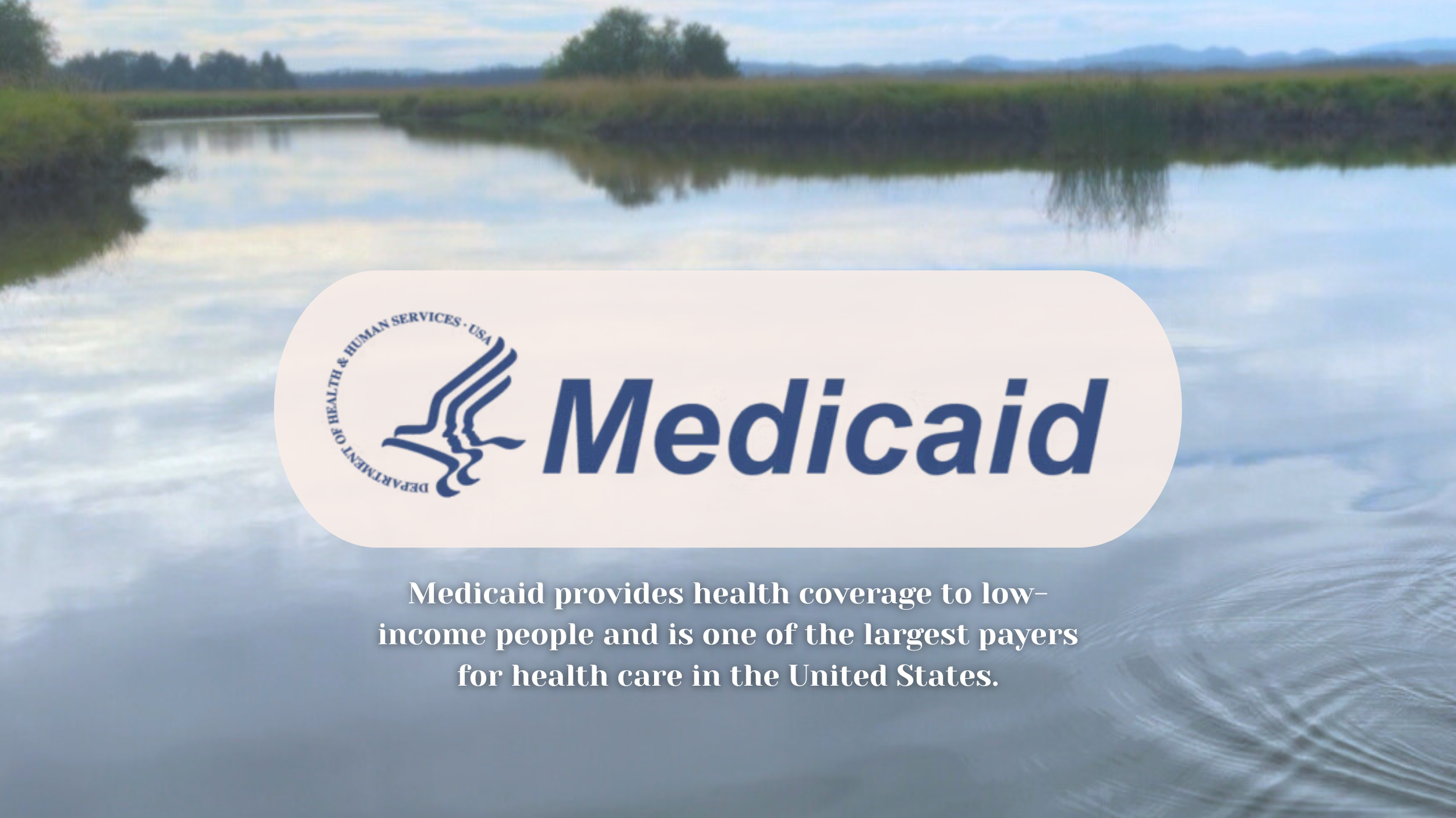 community partners4.png