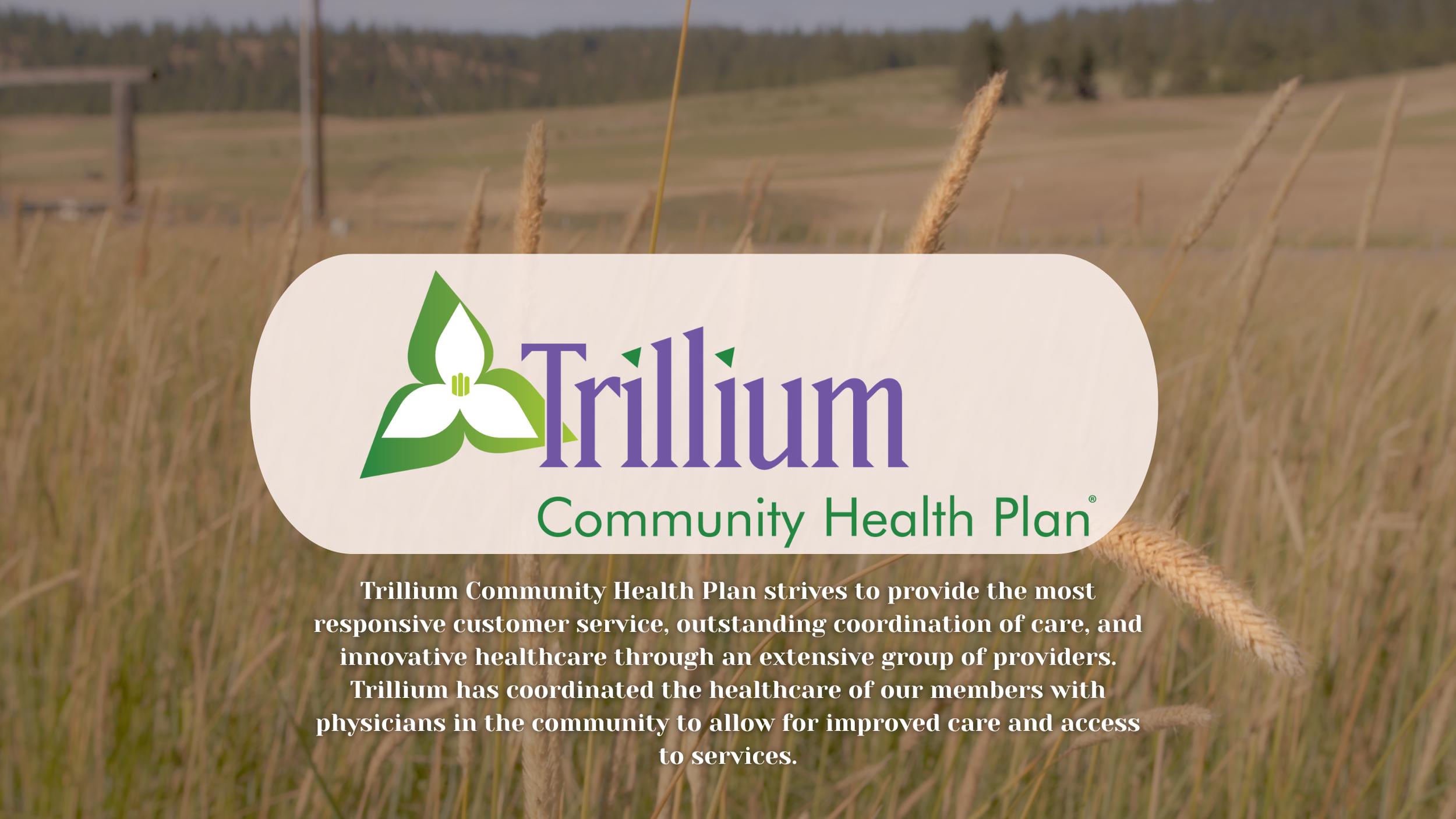 community partners3.png