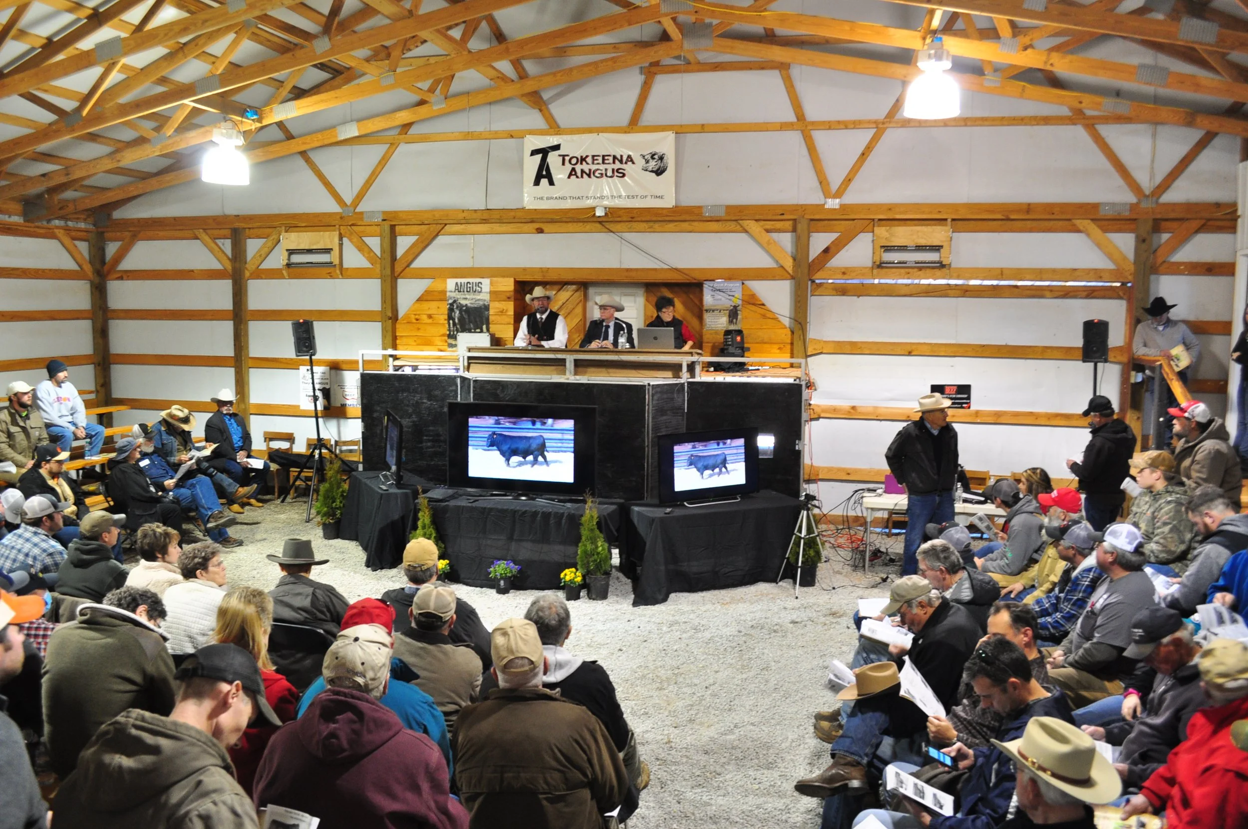 32nd Annual Bull &amp; Female Sale
