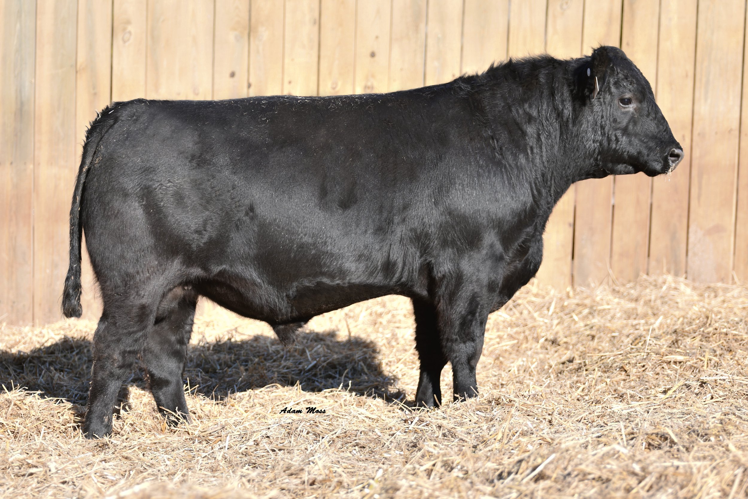 Tokeenas Deposit 5B8